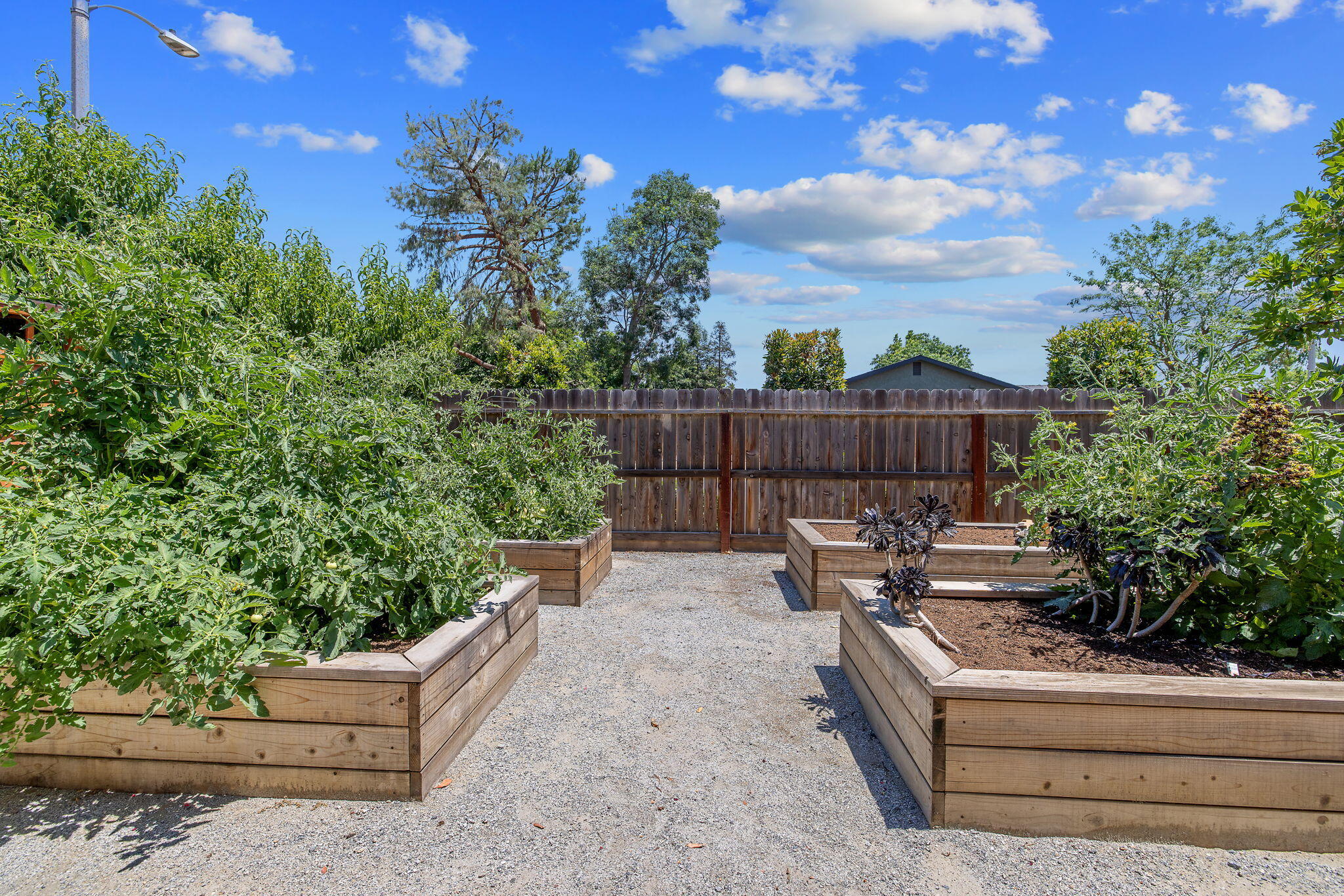 710 Olivewood Dr, Exeter, CA 93221