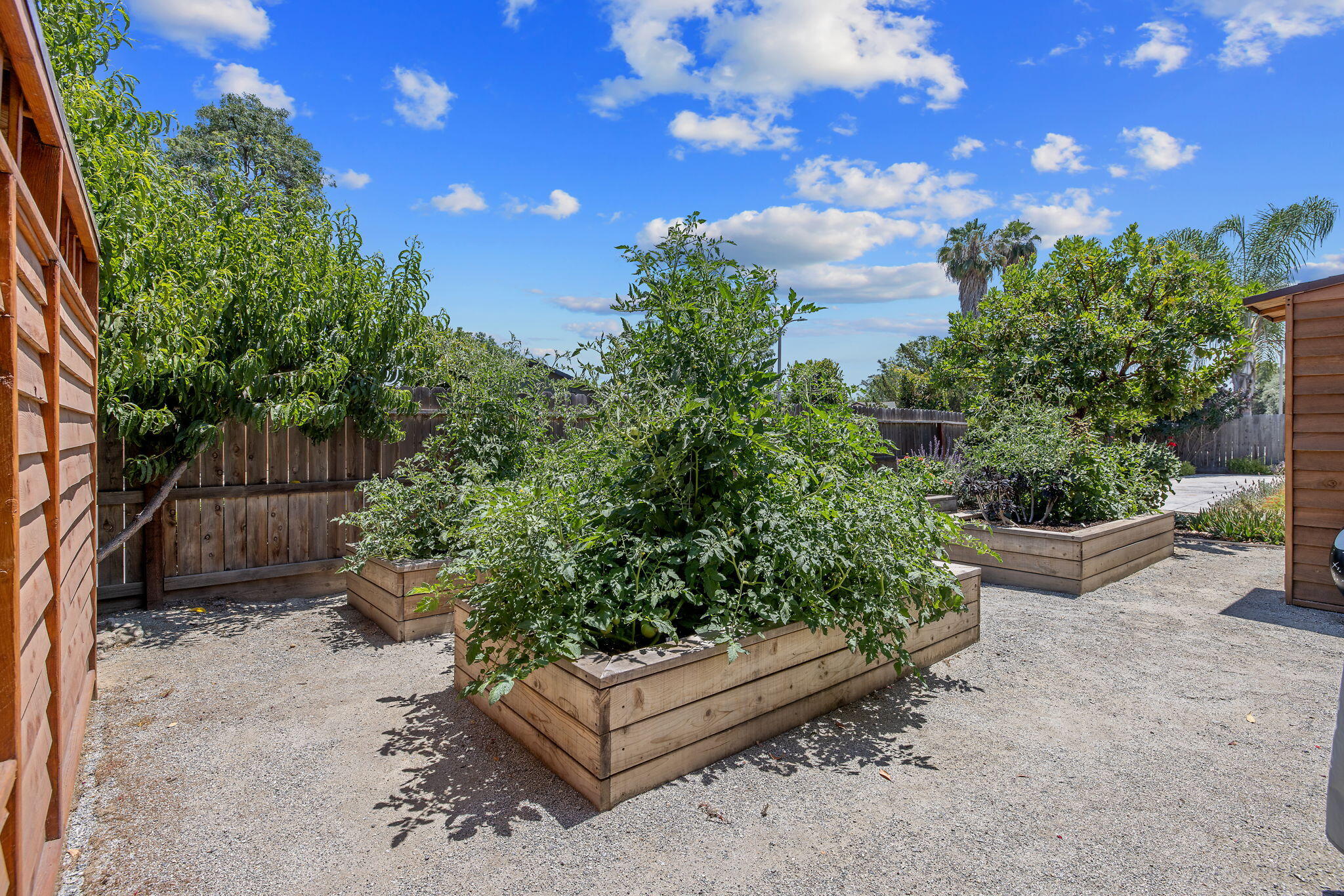 710 Olivewood Dr, Exeter, CA 93221