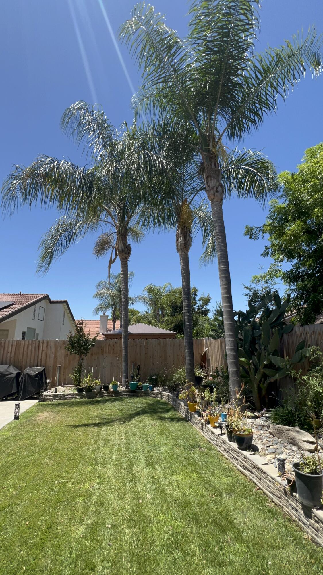 1344 E Parkview Ct, Visalia, CA 93292