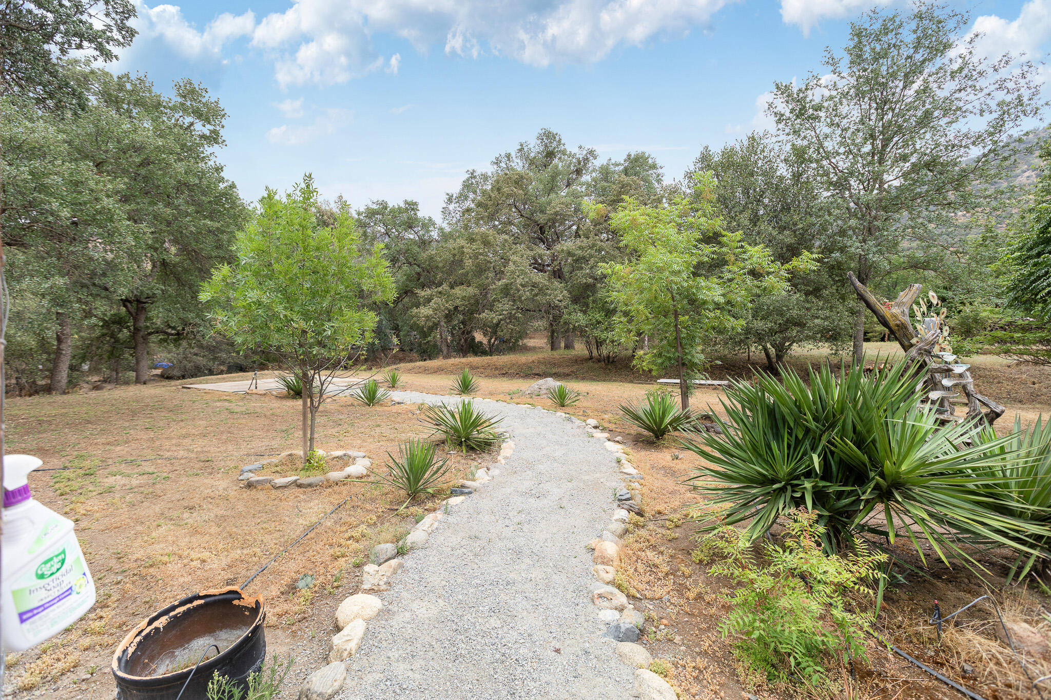 40826 Grouse Dr, Three Rivers, CA 93271