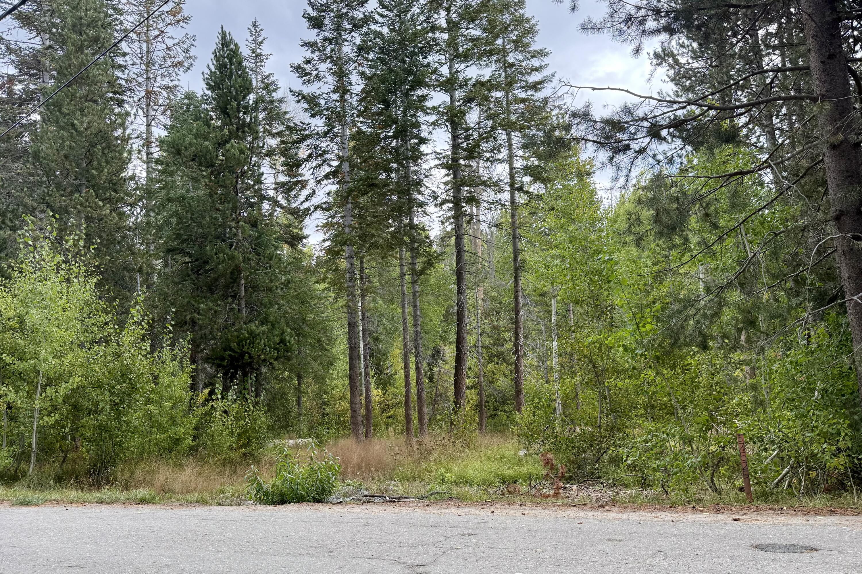 57525 Ponderosa Dr, Springville, CA 93265