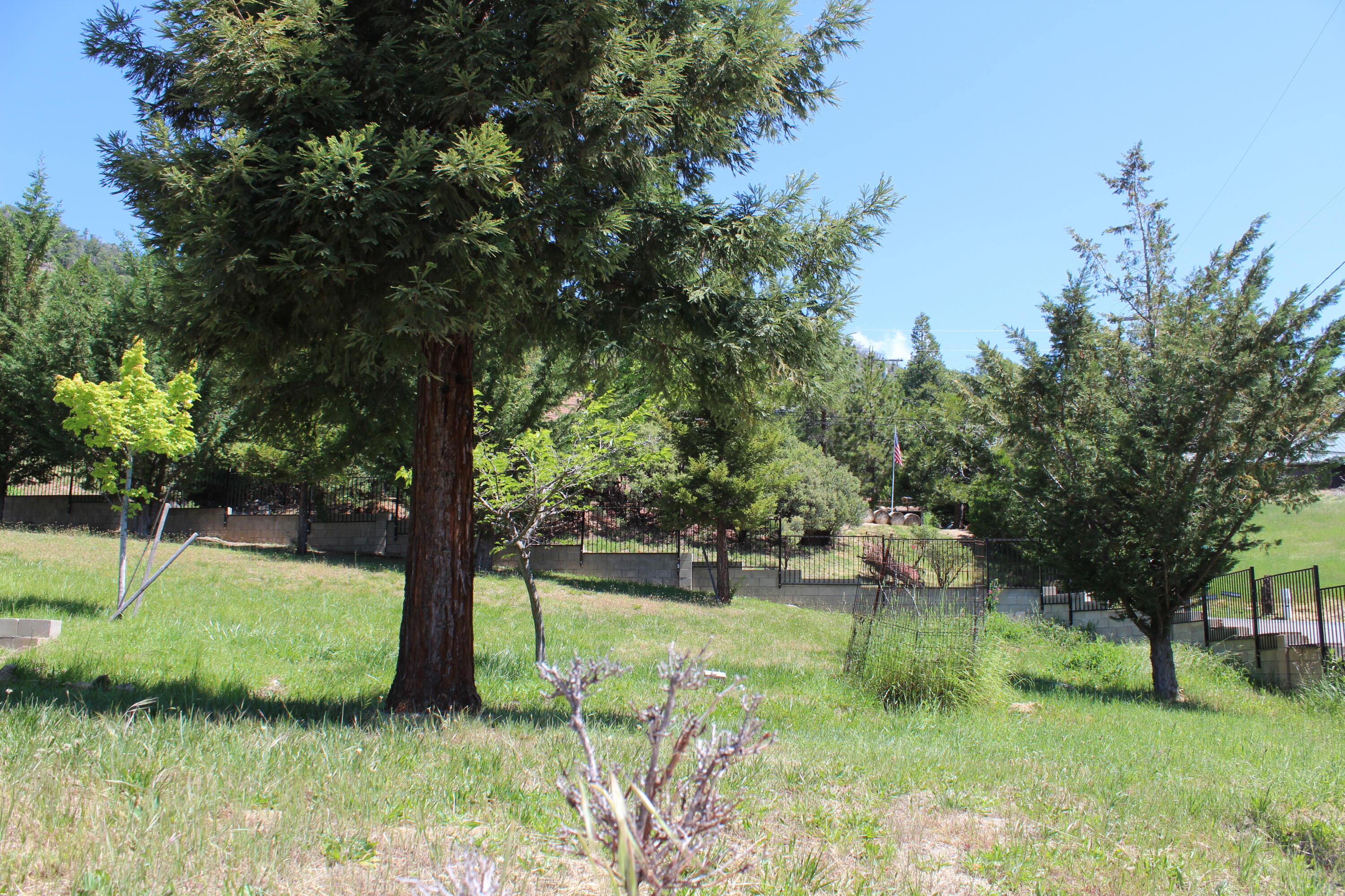 265 Pierpoint Dr, Springville, CA 93265