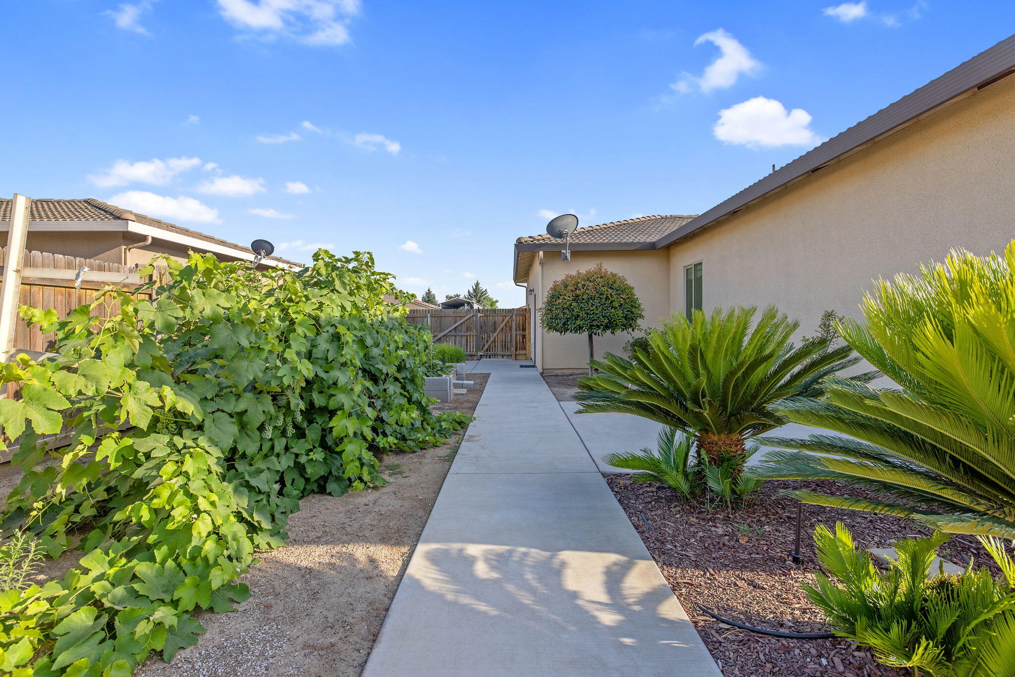 3072 Cape Canyon Ave, Tulare, CA 93274