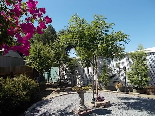 2400 W Midvalley Ave #J-01, Visalia, CA 93277