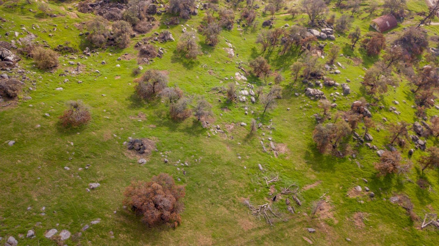 38938 Pepperweed Rd, Yokuts Valley, CA 93675