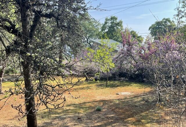 46967 Blue Ridge Dr, Springville, CA 93265