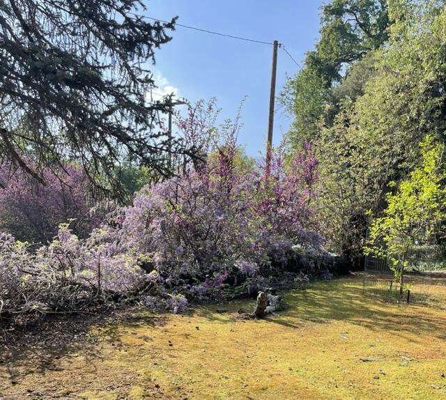 46967 Blue Ridge Dr, Springville, CA 93265