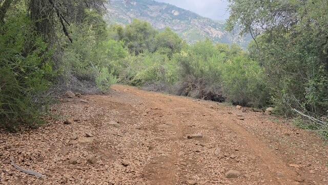 46967 Blue Ridge Dr, Springville, CA 93265