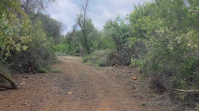 46967 Blue Ridge Dr, Springville, CA 93265