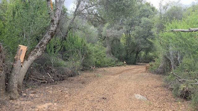 46967 Blue Ridge Dr, Springville, CA 93265
