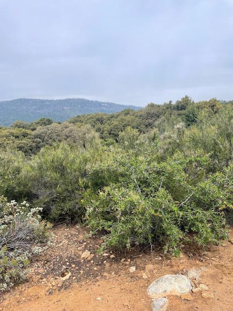 46967 Blue Ridge Dr, Springville, CA 93265