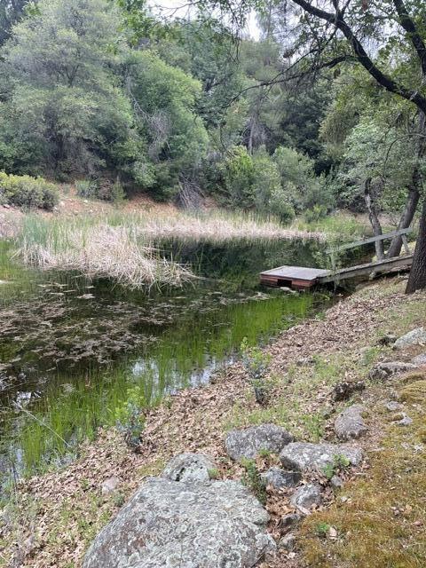 46967 Blue Ridge Dr, Springville, CA 93265