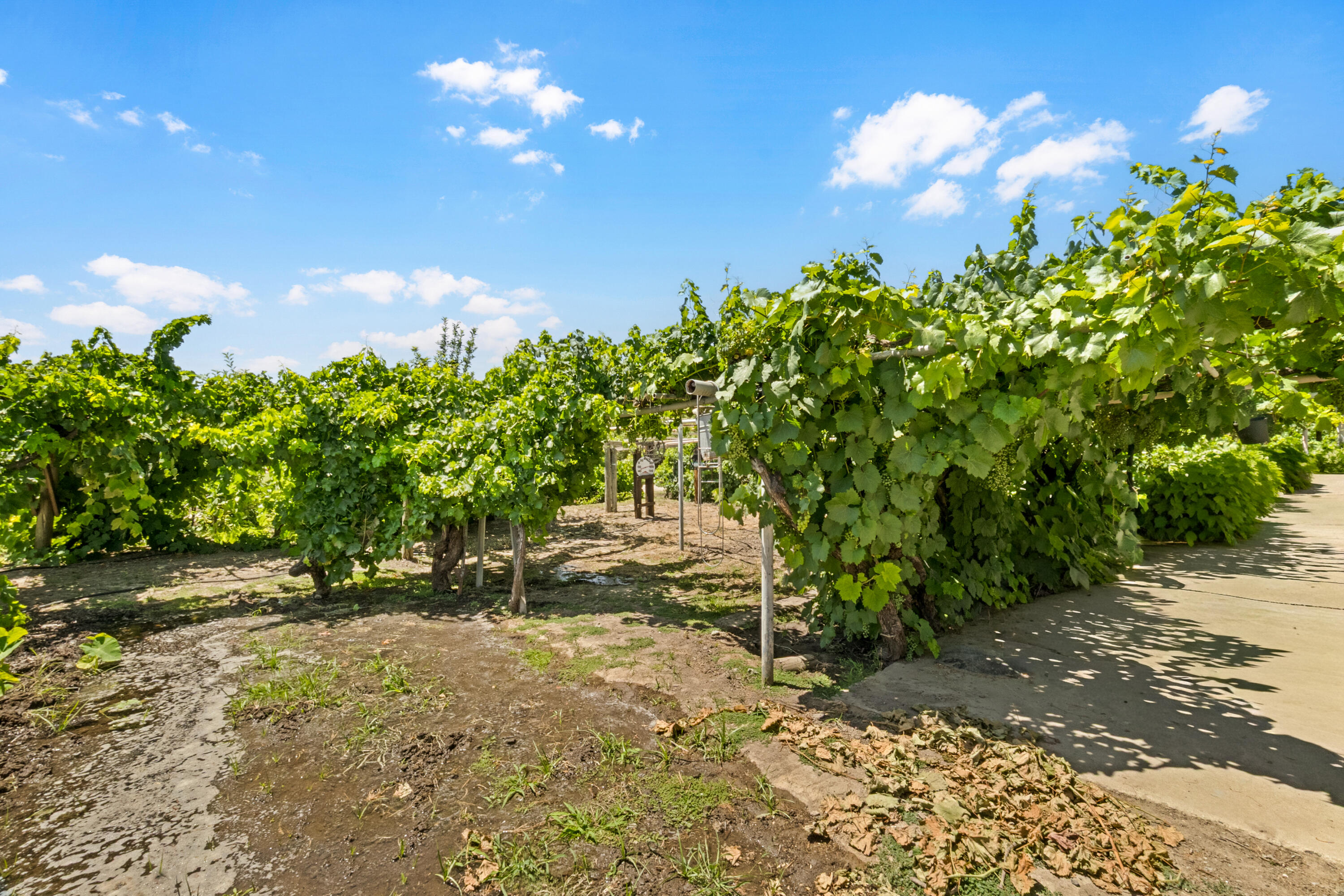 14515 Houston Ave, Hanford, CA 93230