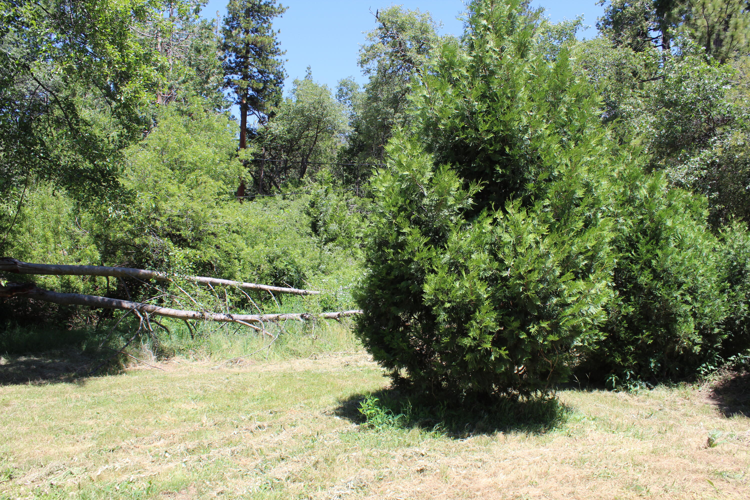 2101 Nelson Dr, Springville, CA 93265