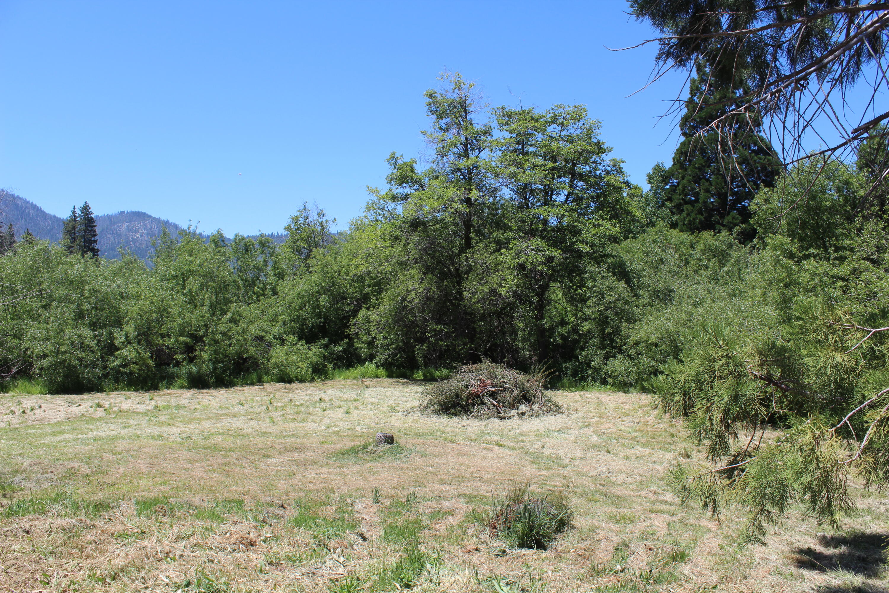 2101 Nelson Dr, Springville, CA 93265