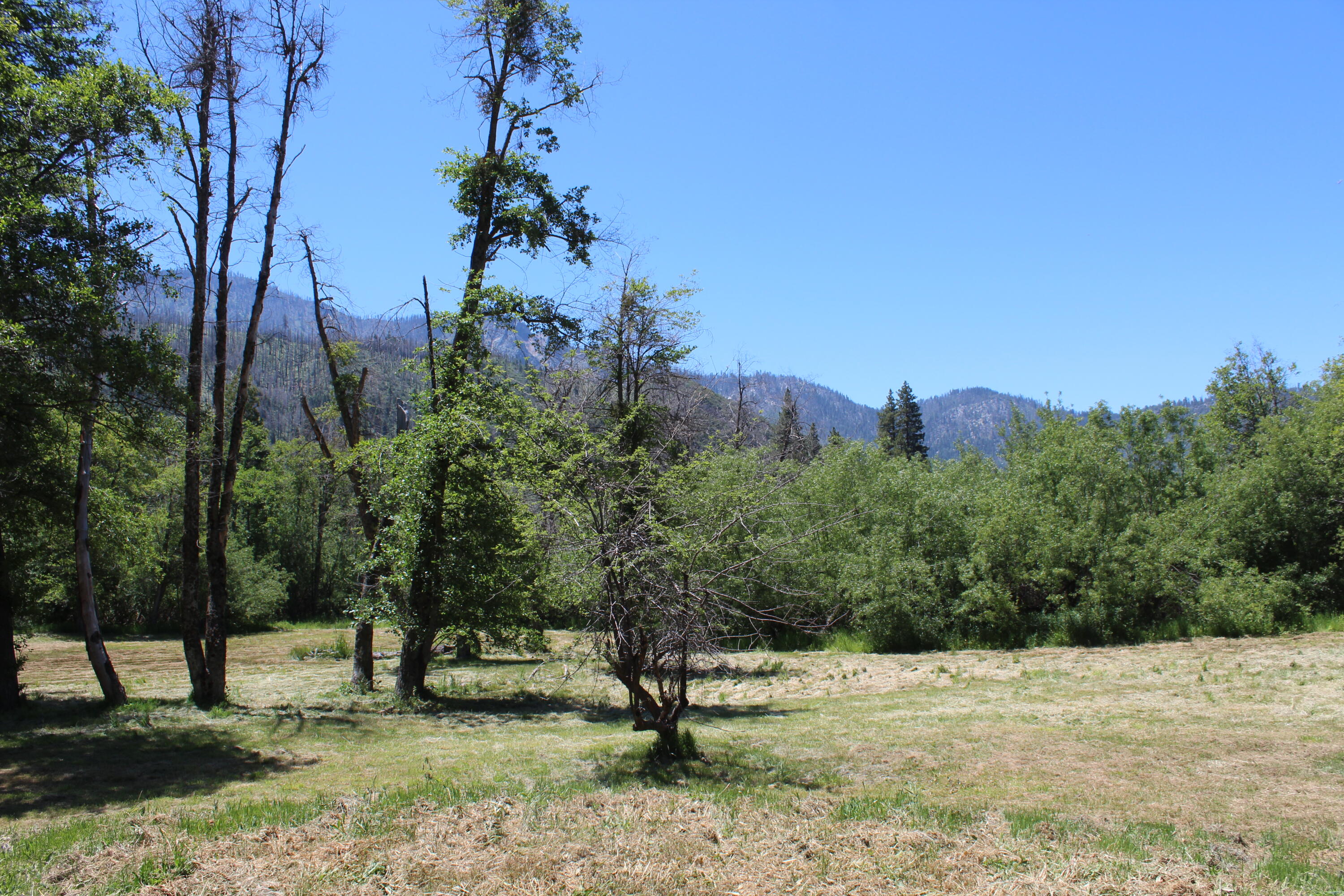 2101 Nelson Dr, Springville, CA 93265