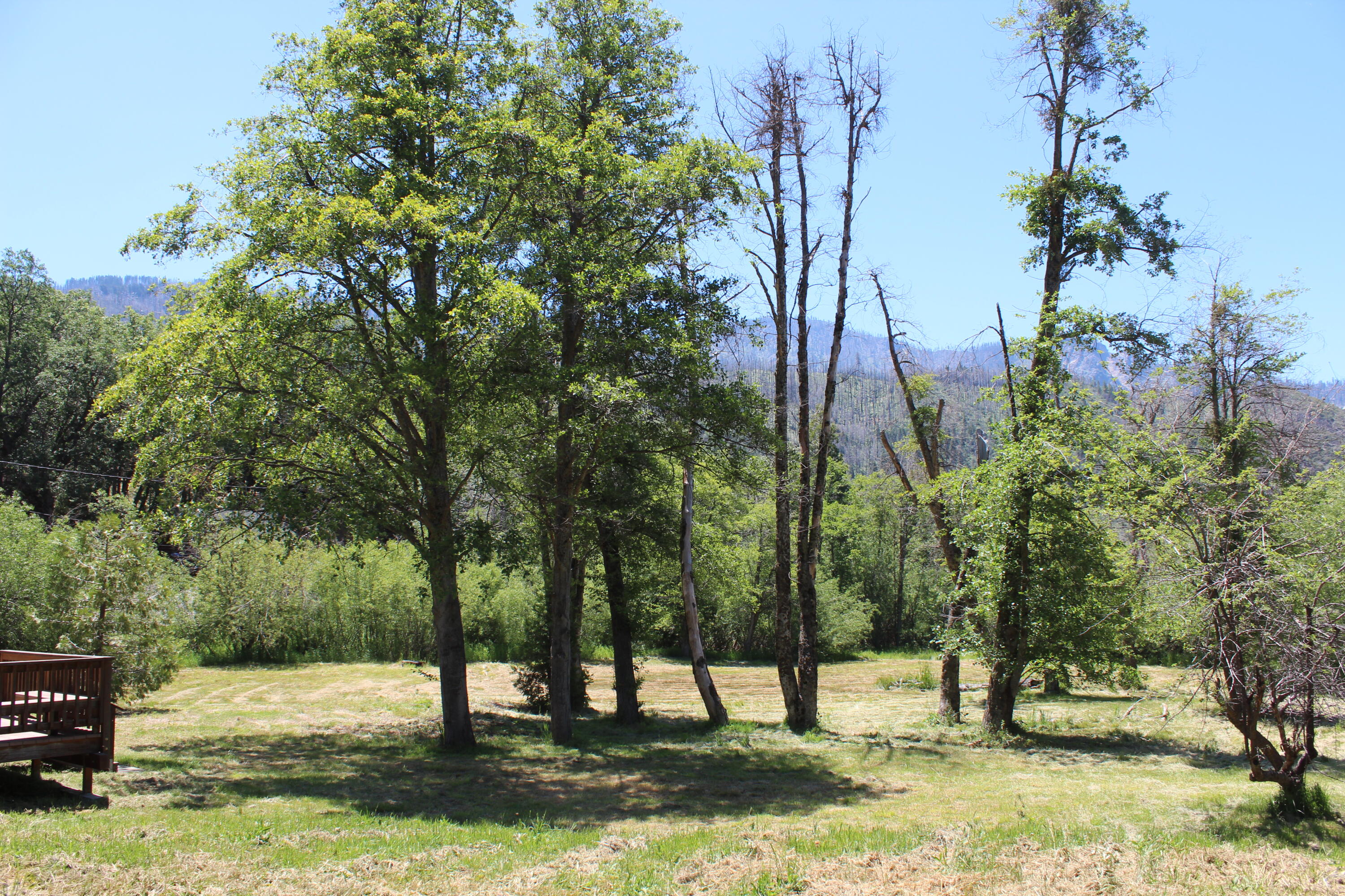 2101 Nelson Dr, Springville, CA 93265