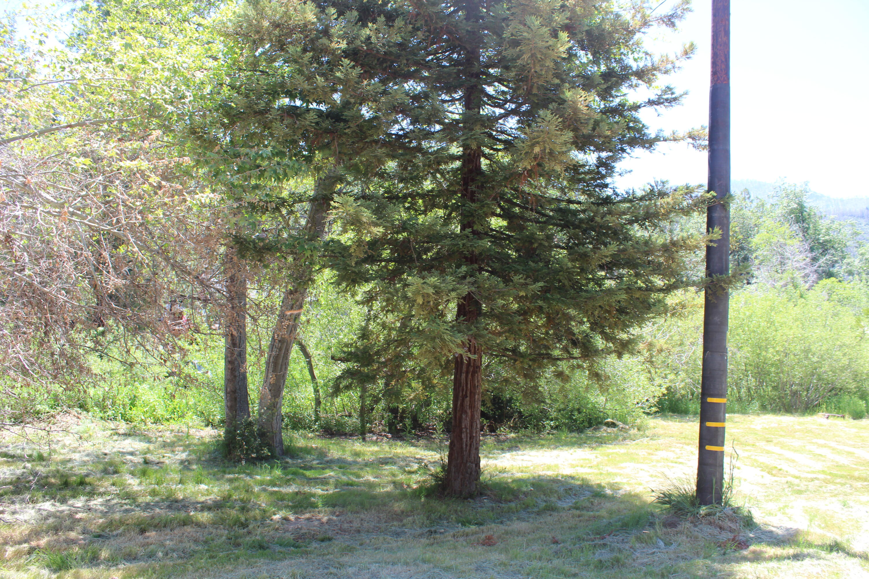 2101 Nelson Dr, Springville, CA 93265