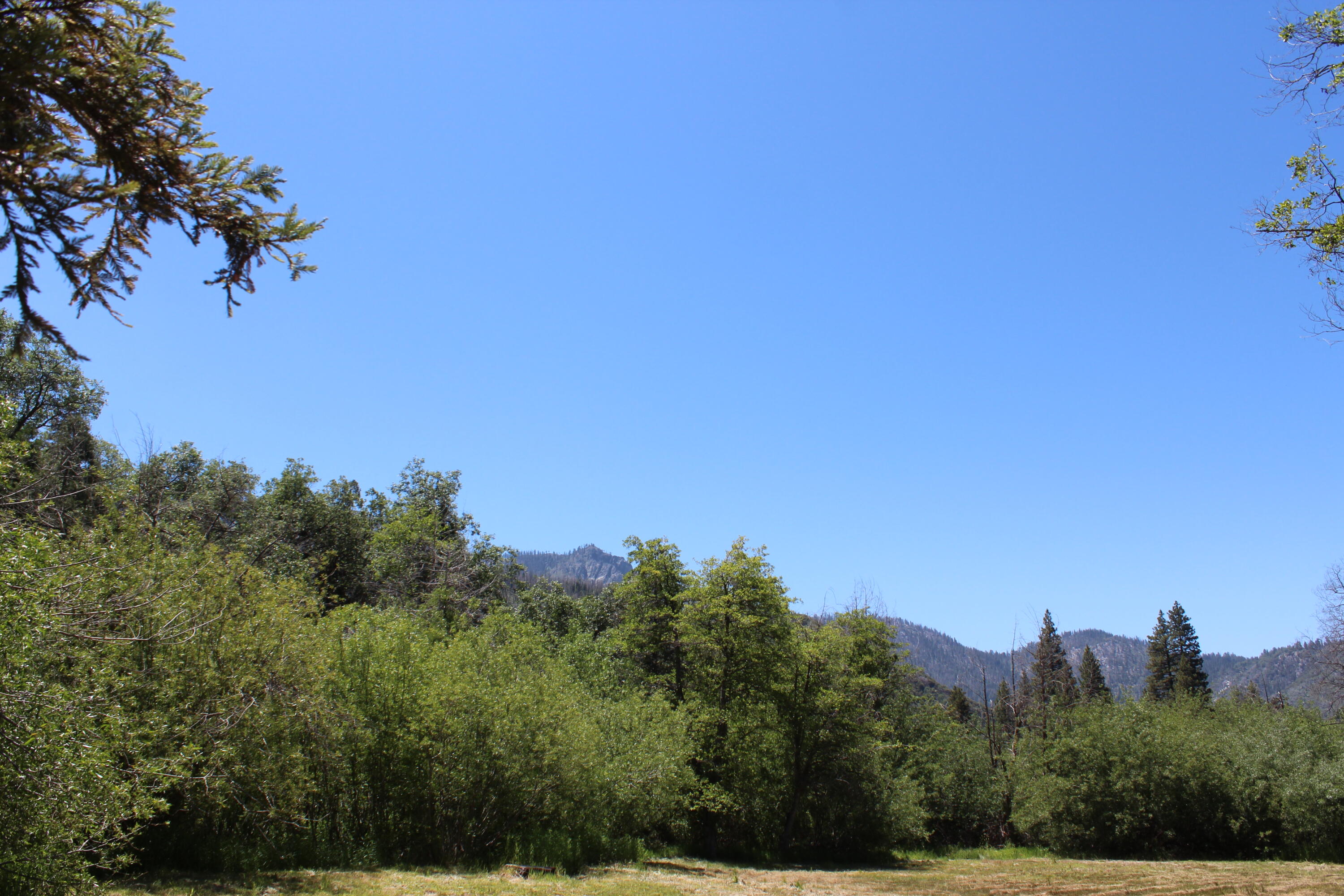 2101 Nelson Dr, Springville, CA 93265