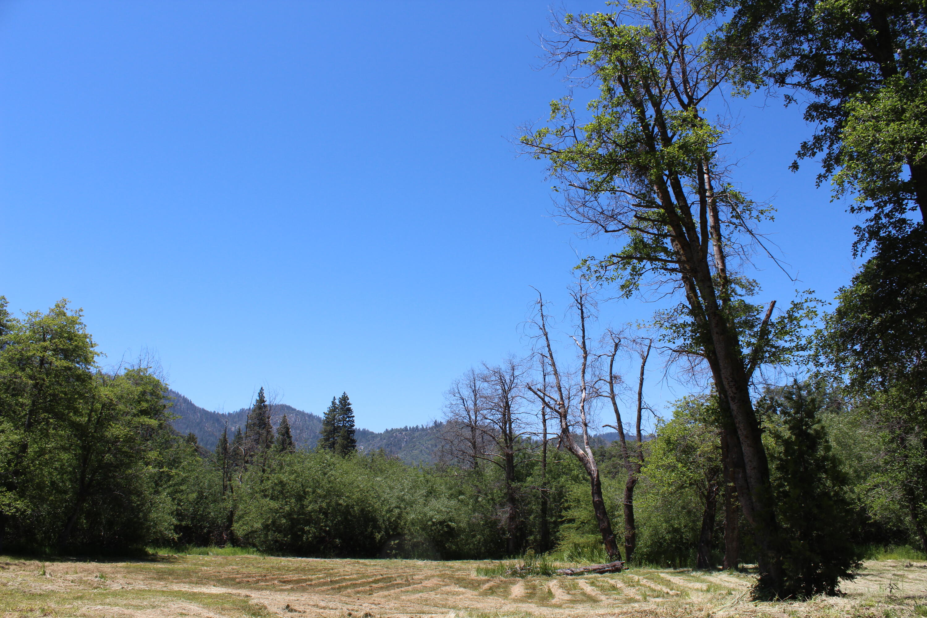 2101 Nelson Dr, Springville, CA 93265