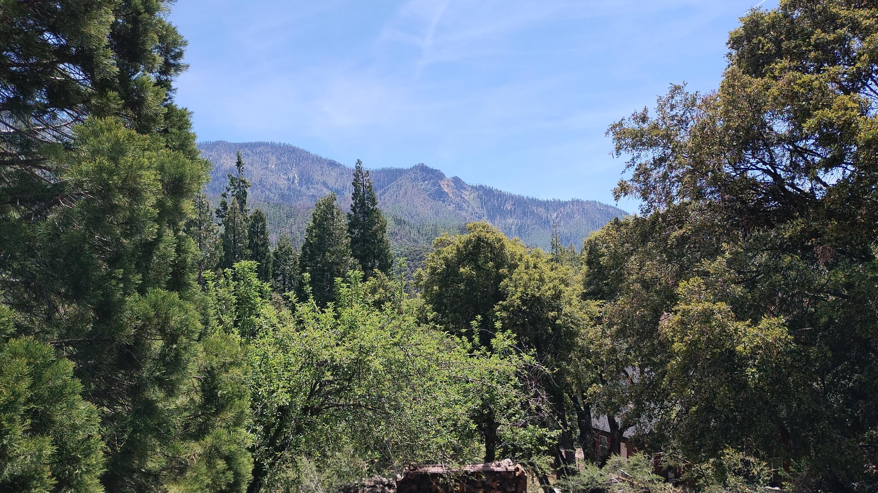 538 Acorn Dr, Camp Nelson, CA 93265