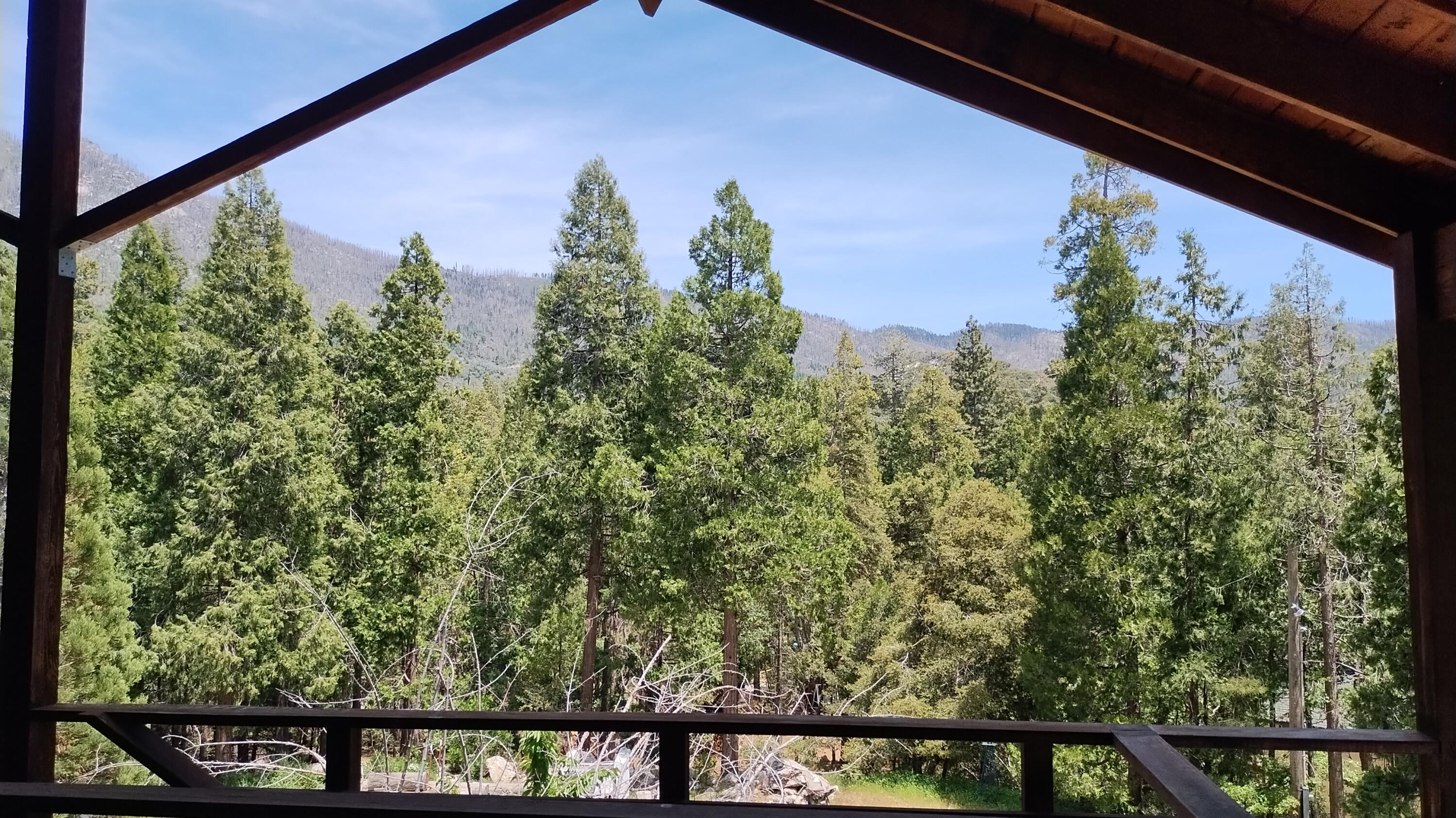 538 Acorn Dr, Camp Nelson, CA 93265
