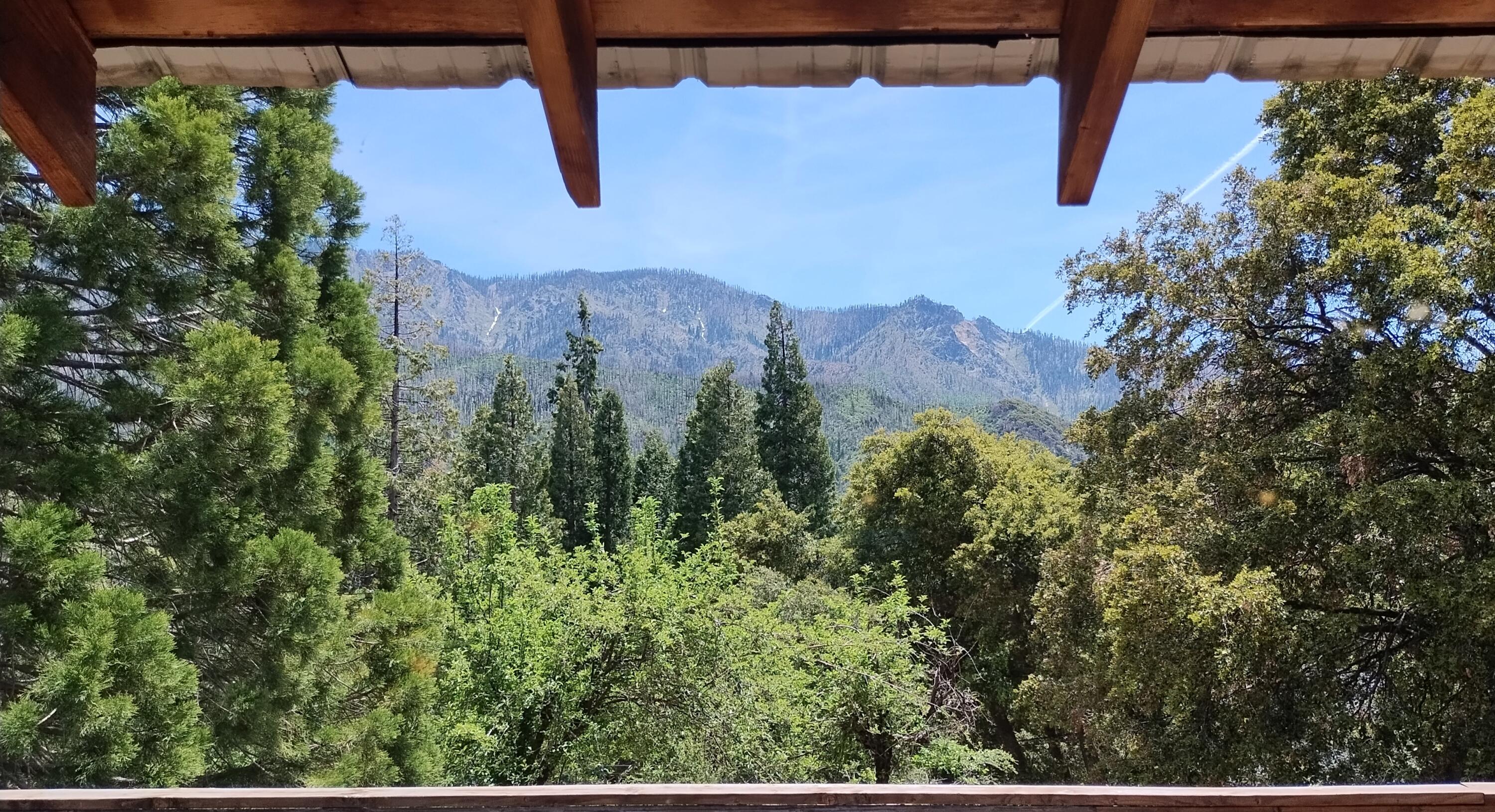 538 Acorn Dr, Camp Nelson, CA 93265