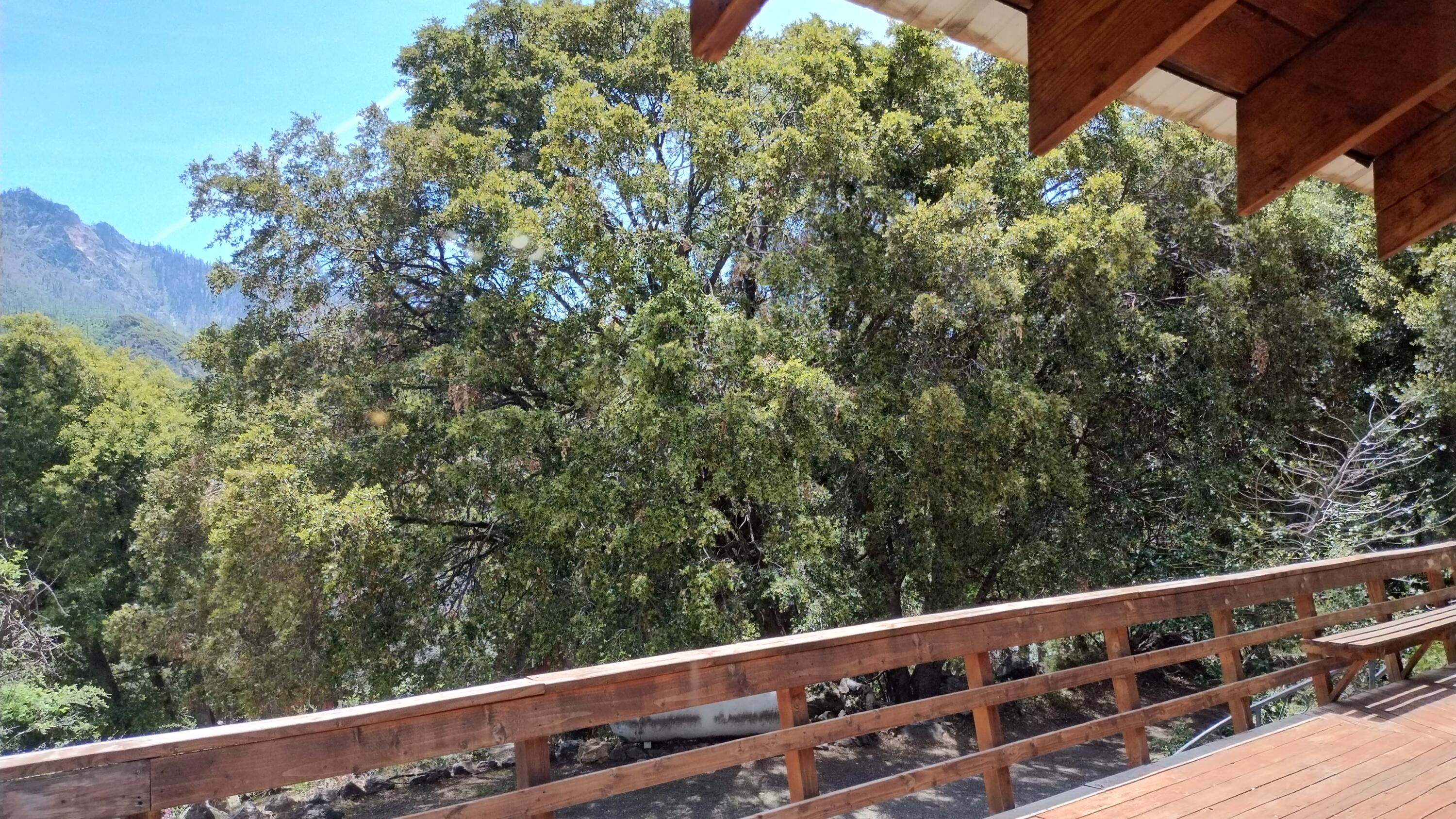 538 Acorn Dr, Camp Nelson, CA 93265