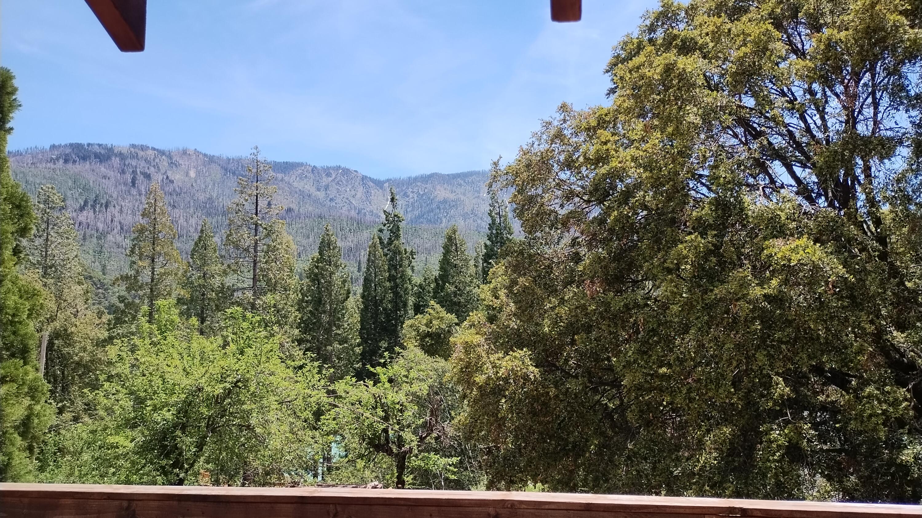 538 Acorn Dr, Camp Nelson, CA 93265