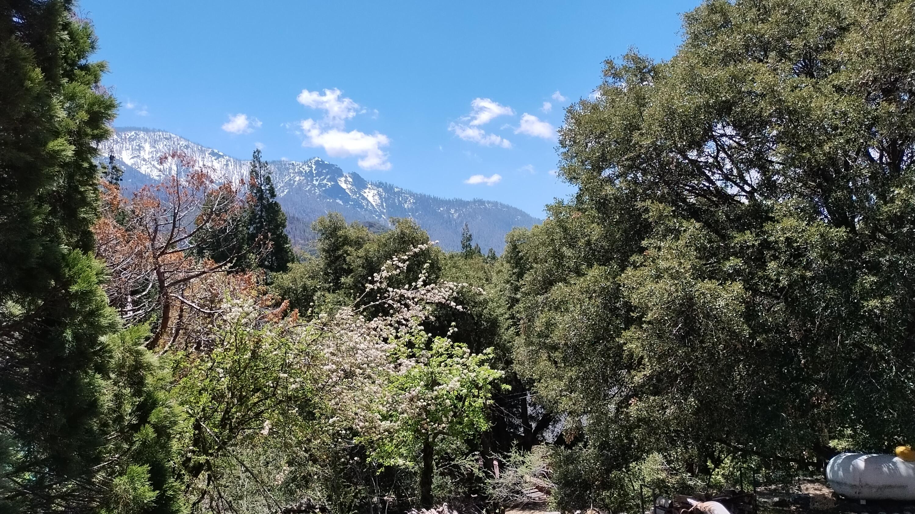 538 Acorn Dr, Camp Nelson, CA 93265