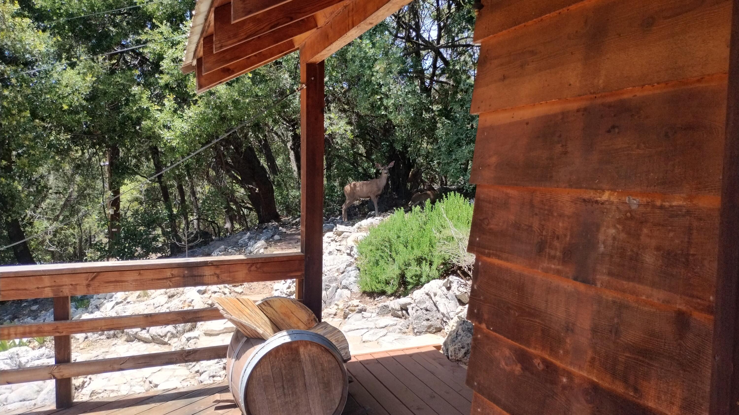 538 Acorn Dr, Camp Nelson, CA 93265
