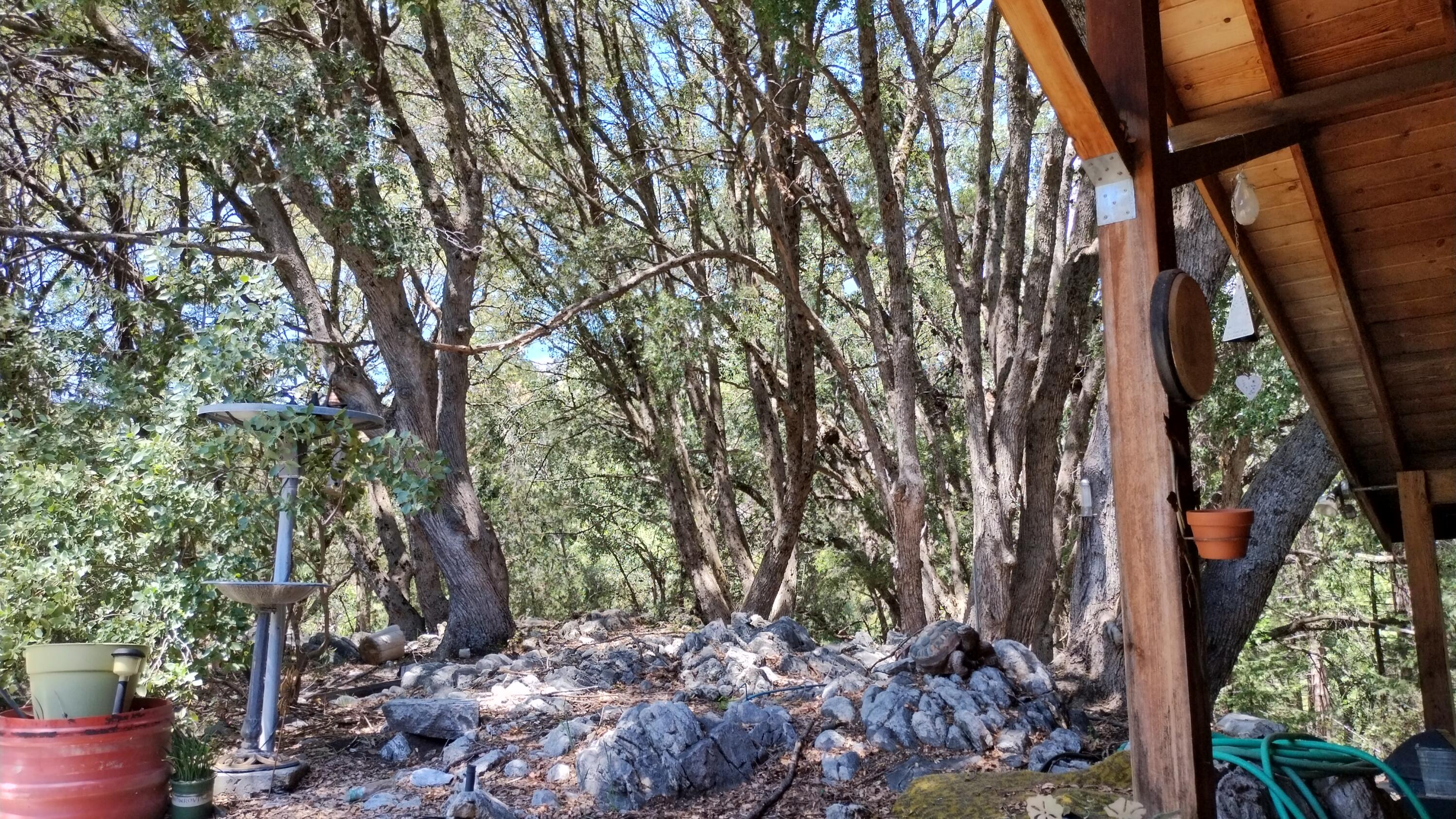 538 Acorn Dr, Camp Nelson, CA 93265
