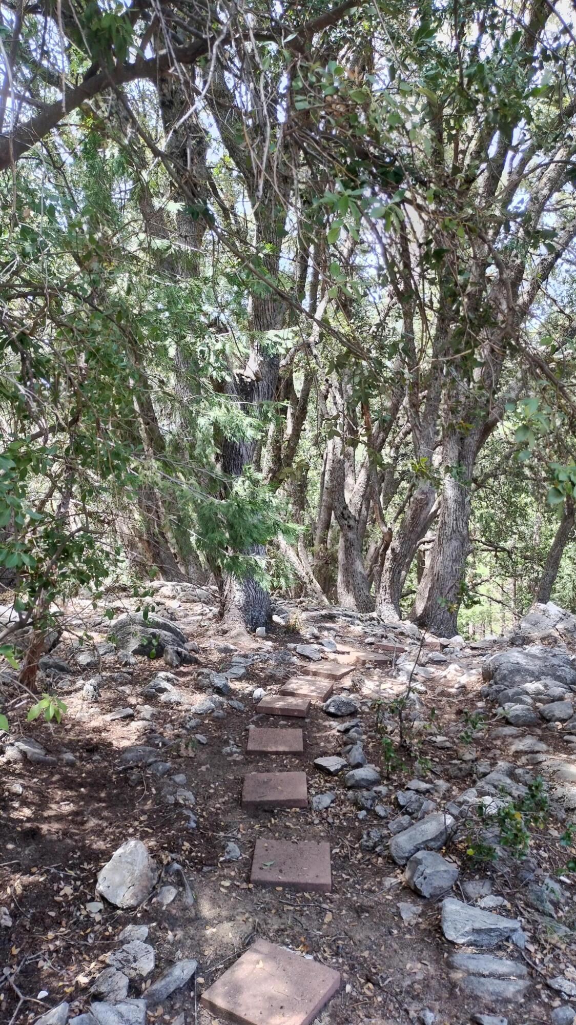 538 Acorn Dr, Camp Nelson, CA 93265