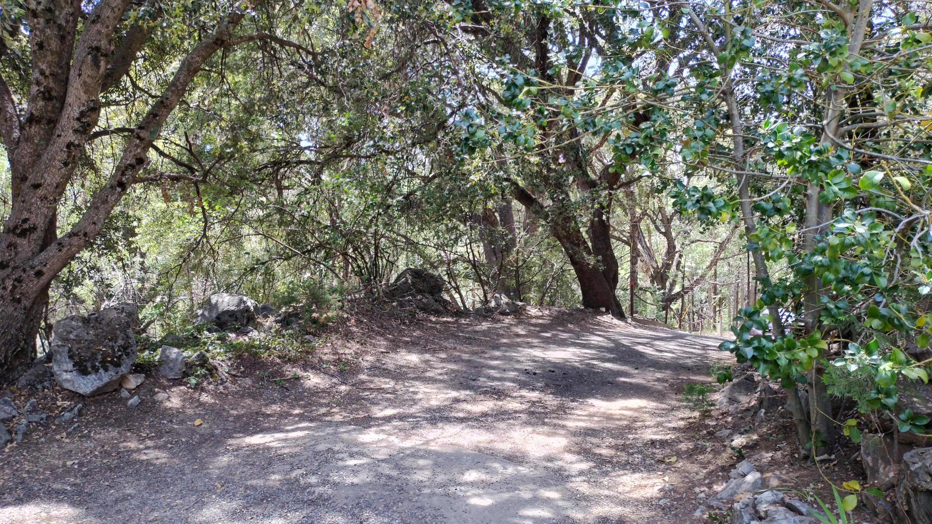 538 Acorn Dr, Camp Nelson, CA 93265