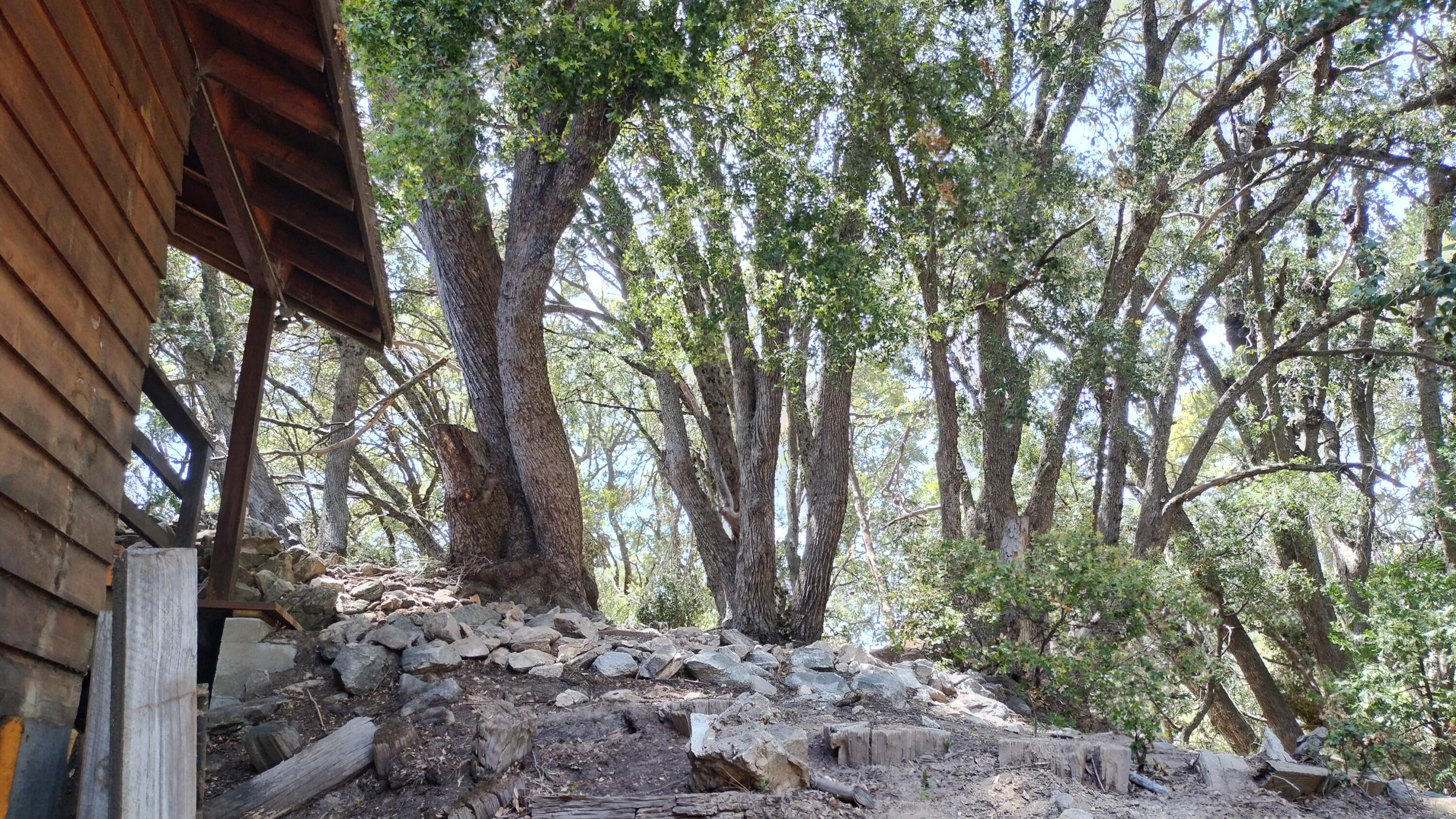 538 Acorn Dr, Camp Nelson, CA 93265