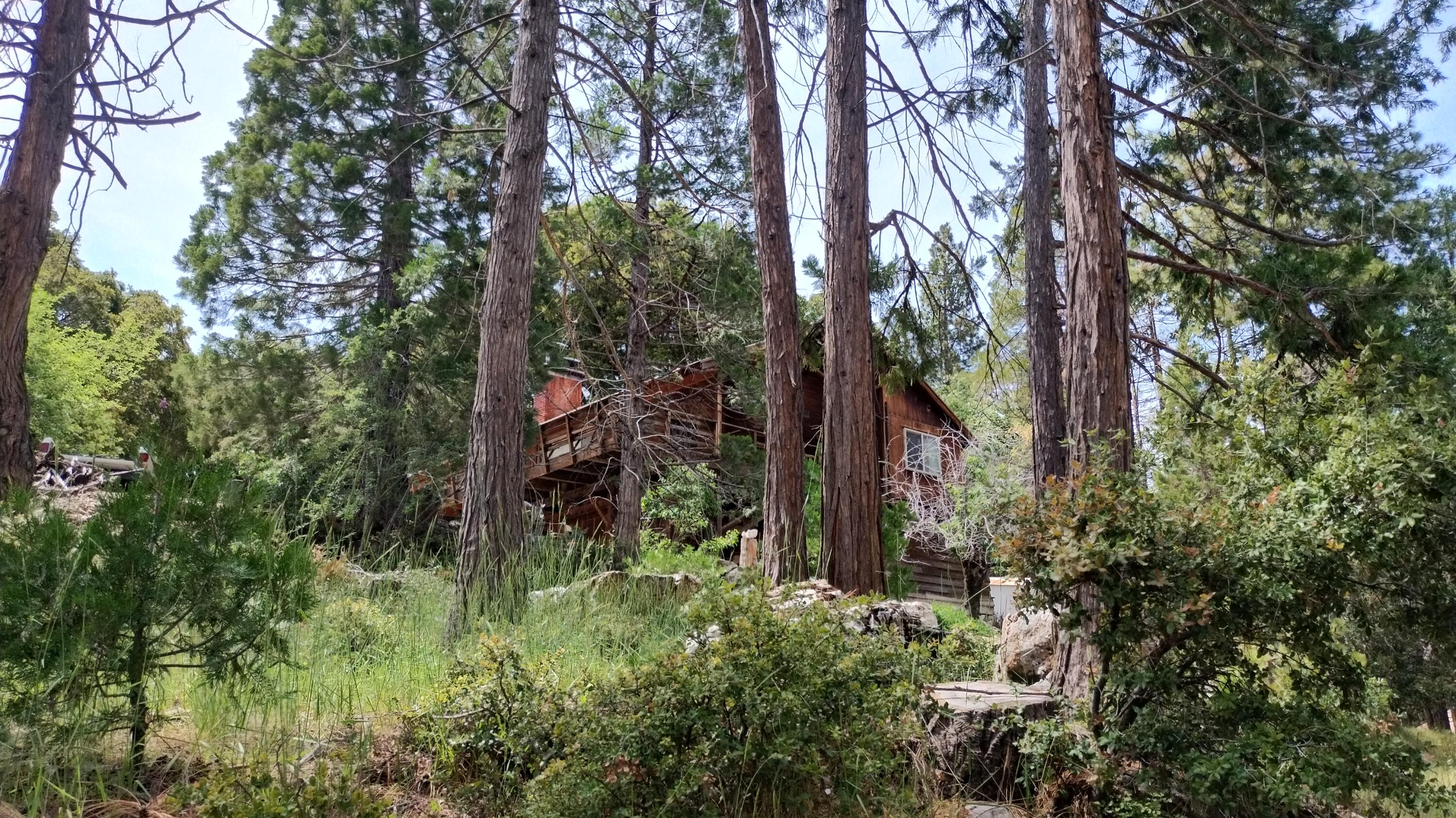 538 Acorn Dr, Camp Nelson, CA 93265