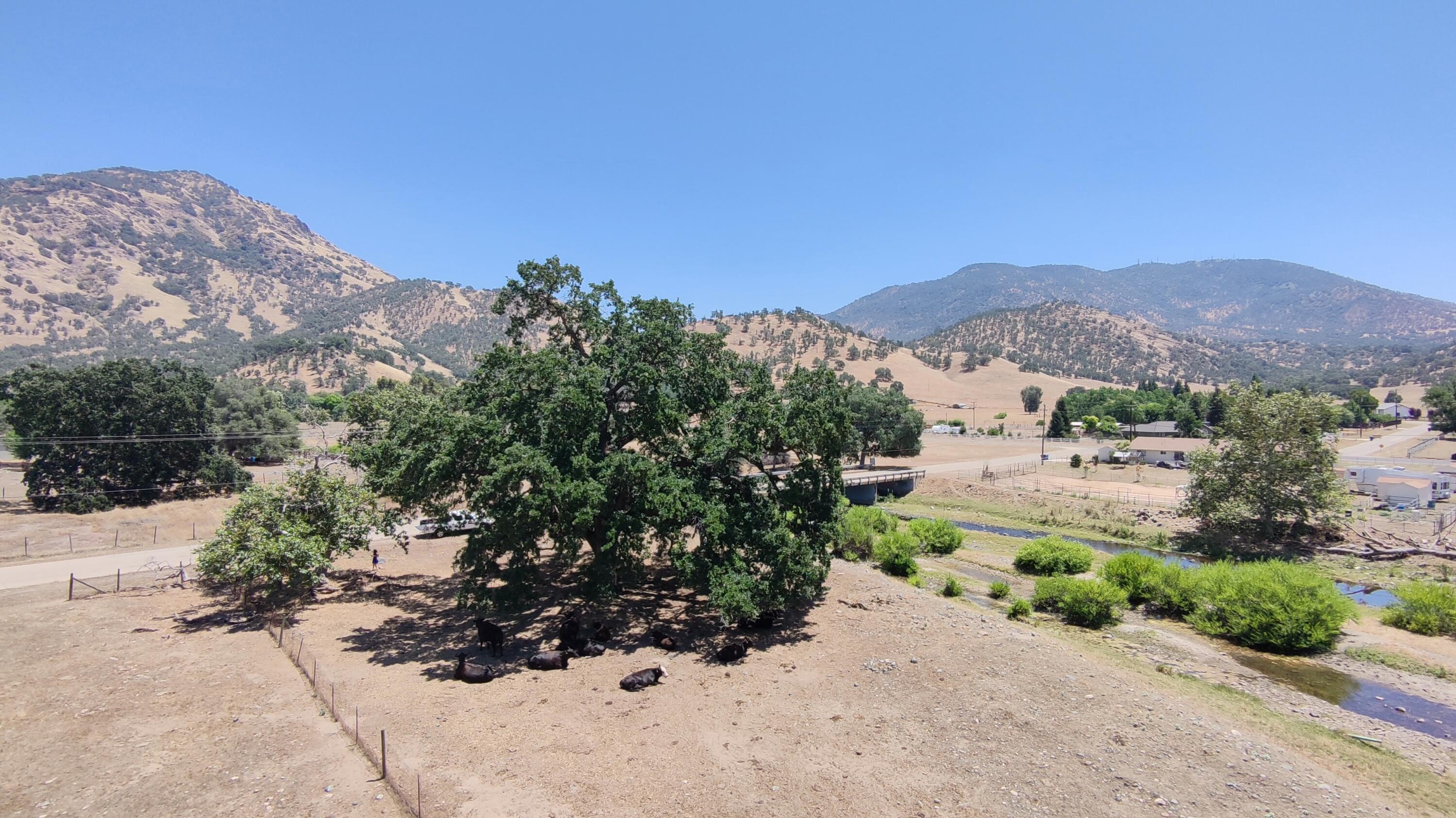 0 Lot 62 Wonder Valley Ranchos, Sanger, CA 93657