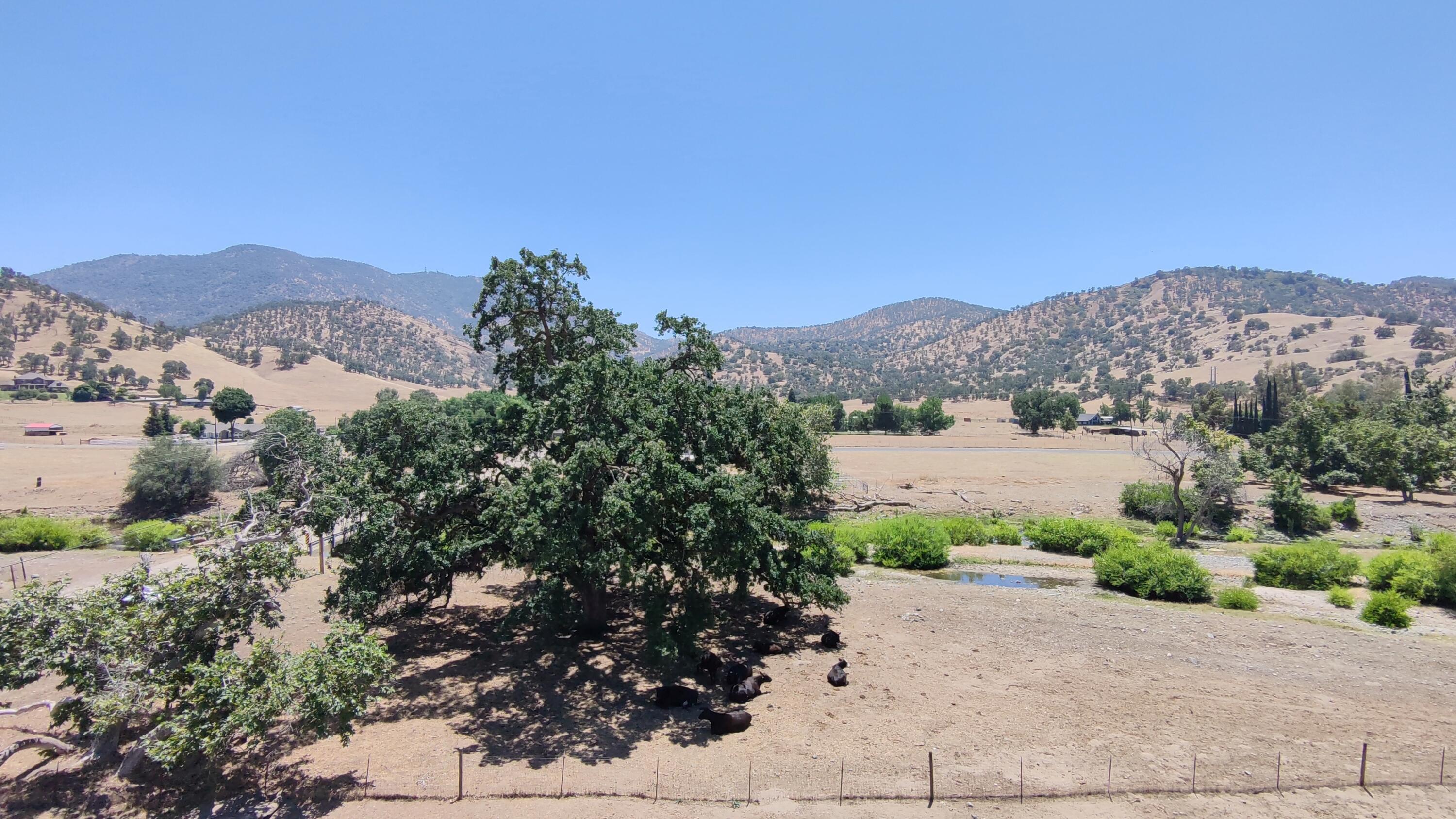 0 Lot 62 Wonder Valley Ranchos, Sanger, CA 93657