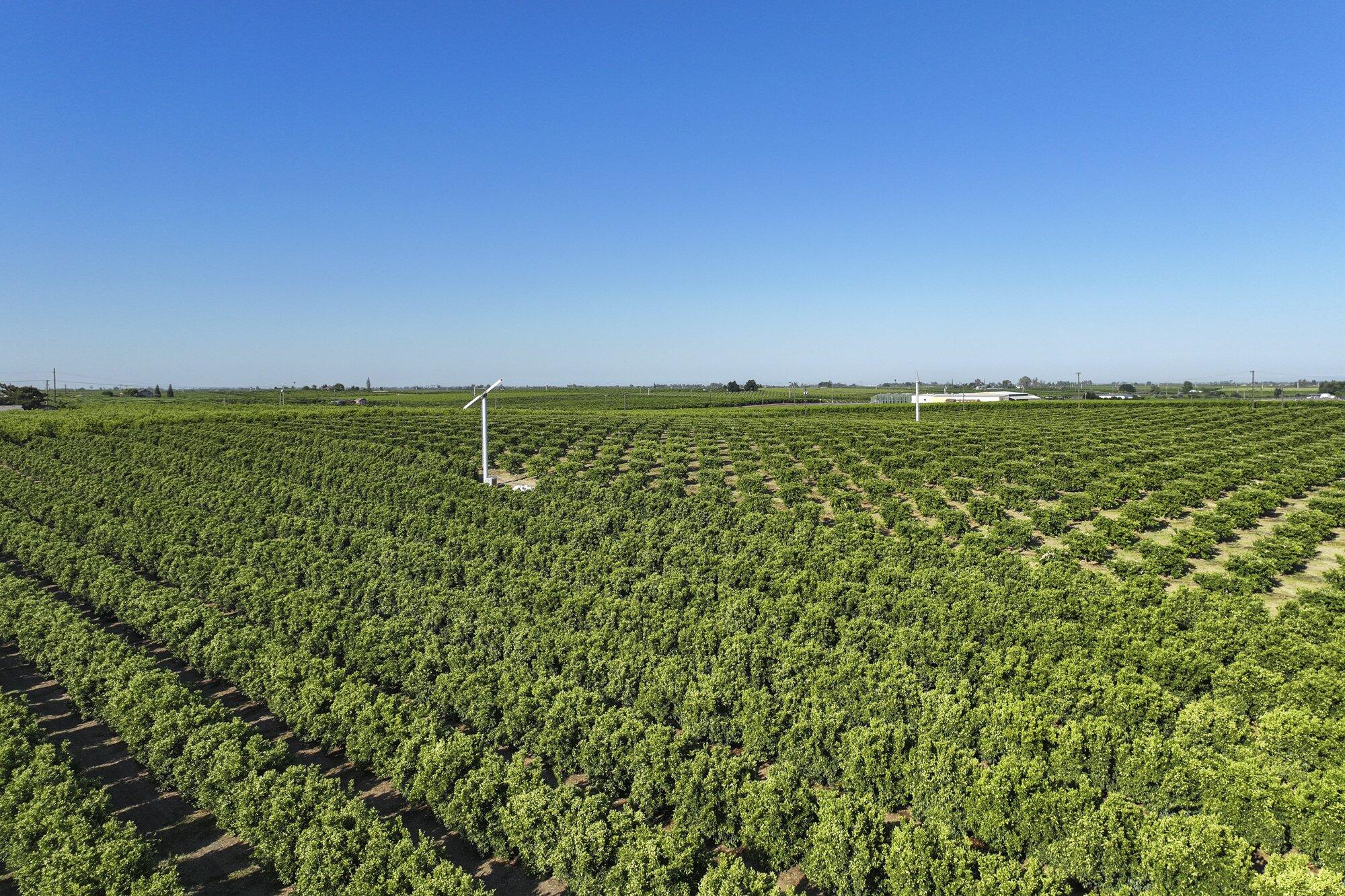 0 S Hillcrest St, Porterville, CA 93257