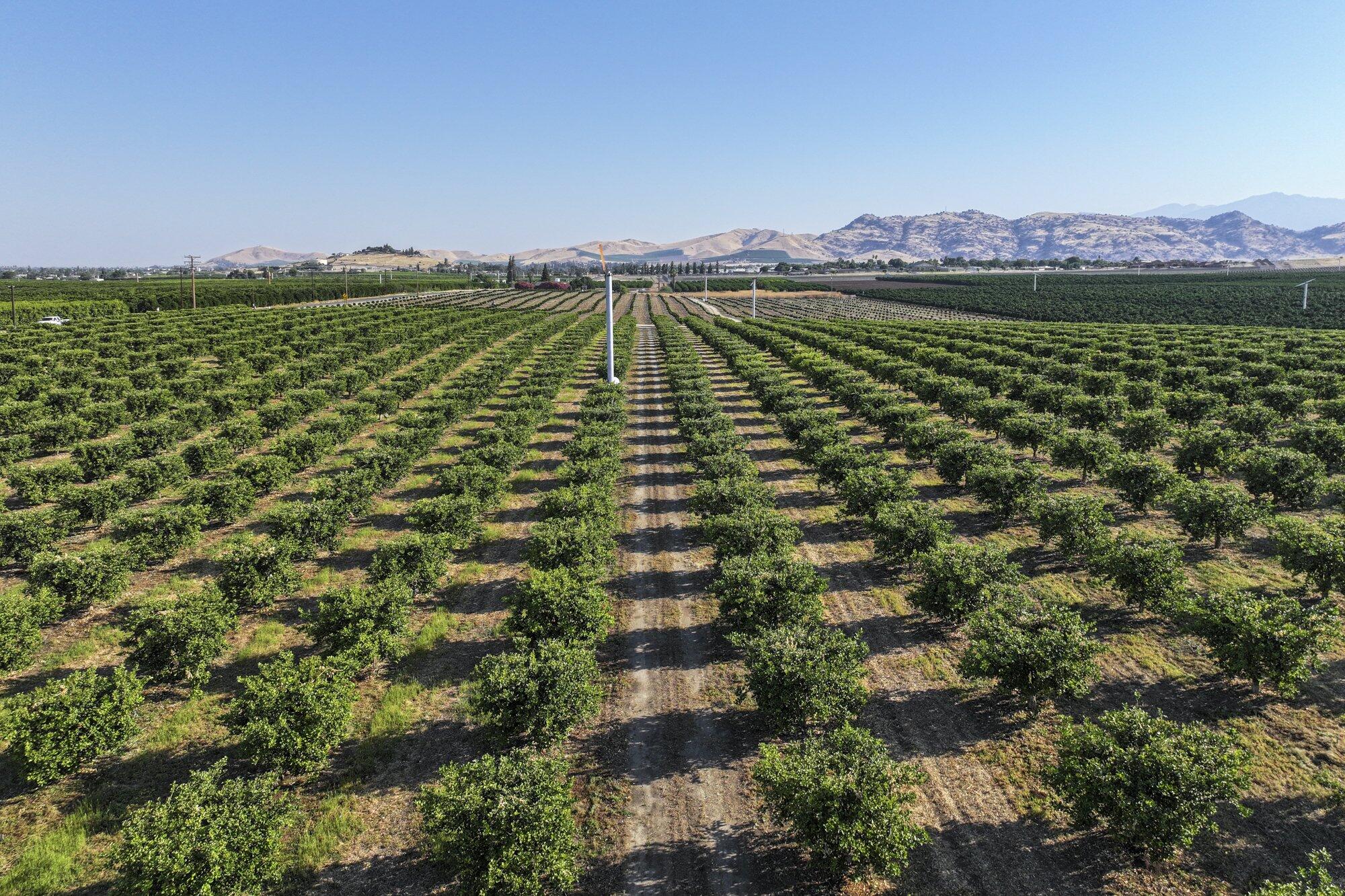 0 S Hillcrest St, Porterville, CA 93257