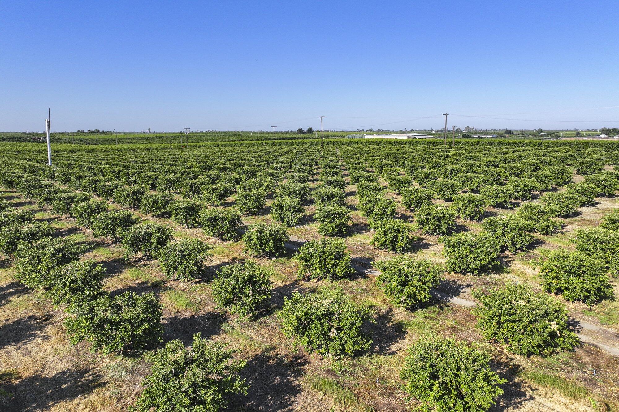 0 S Hillcrest St, Porterville, CA 93257