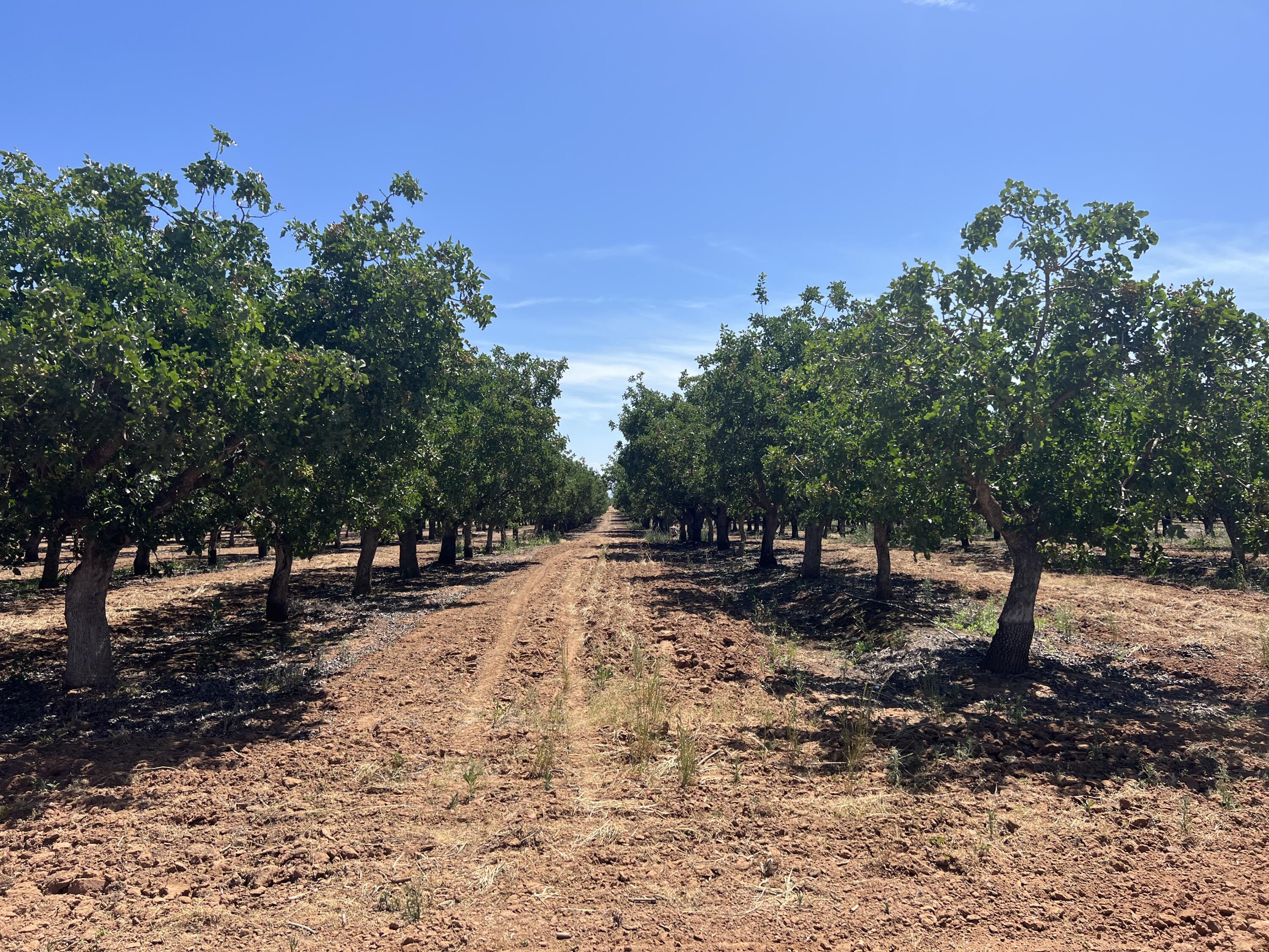 0 Avenue 20 1/2, Madera, CA 93638