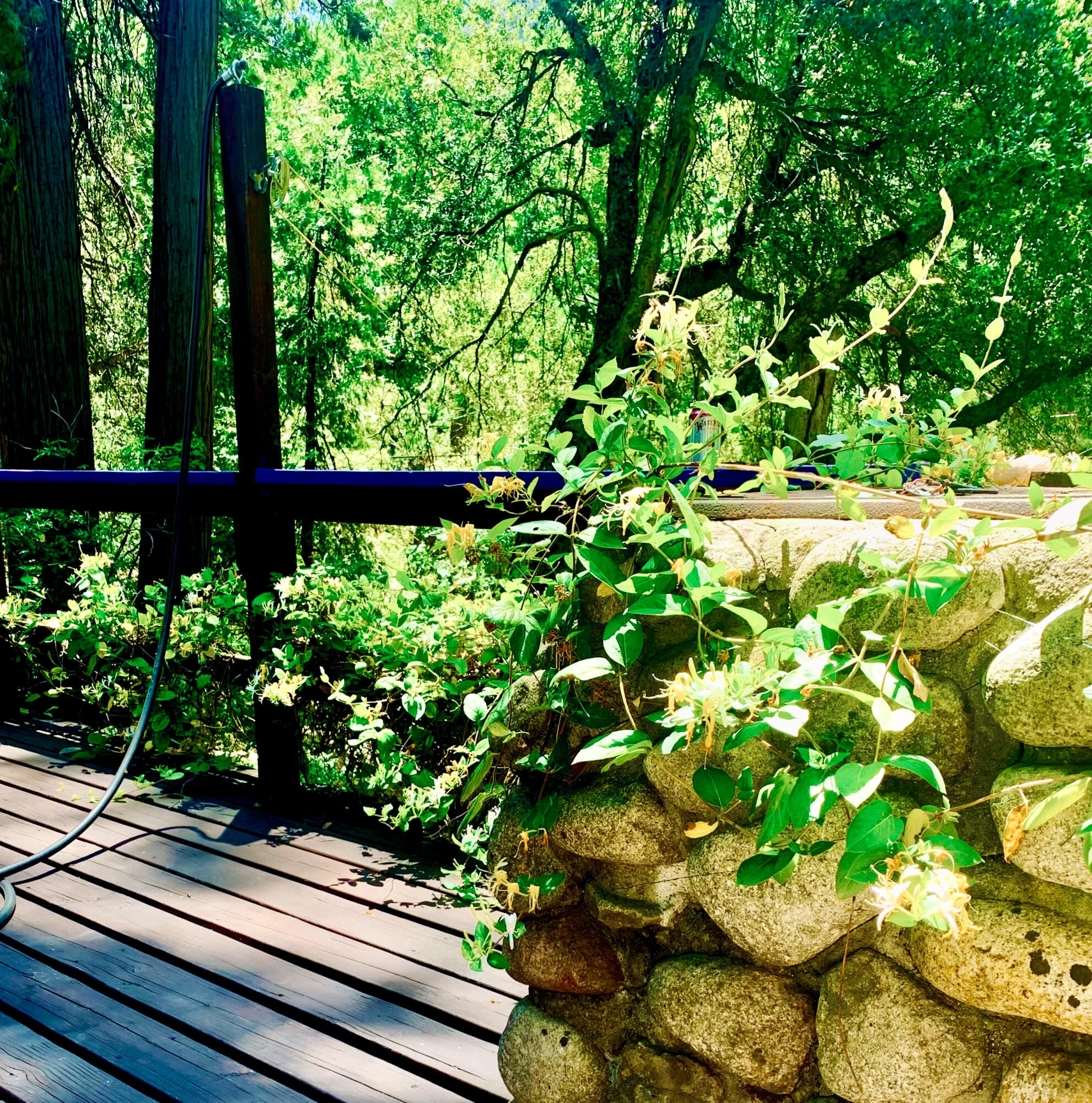 1883 James Dr, Springville, CA 93265