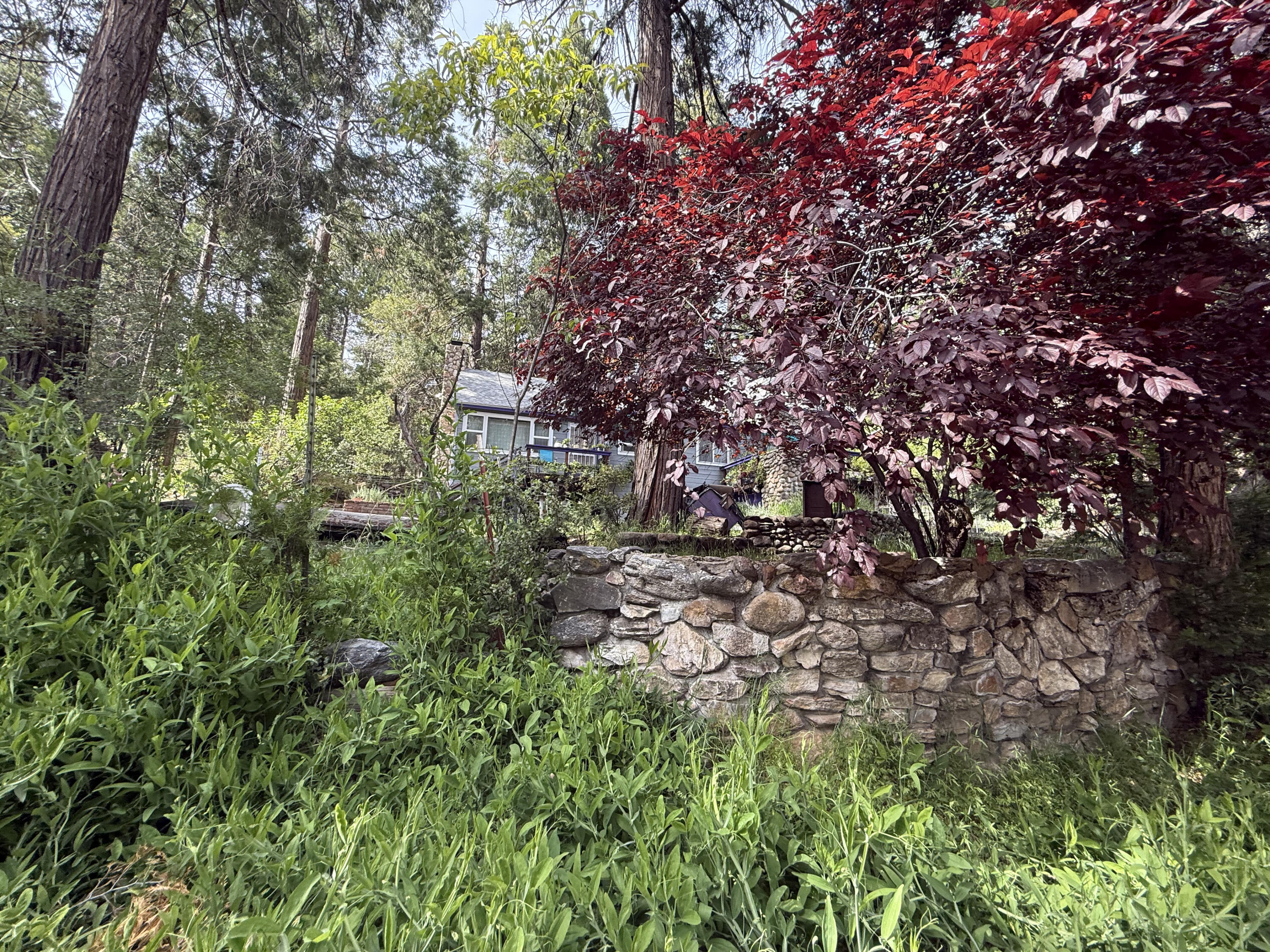 1883 James Dr, Springville, CA 93265