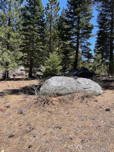 58303 Carter Dr, Ponderosa, CA 93265