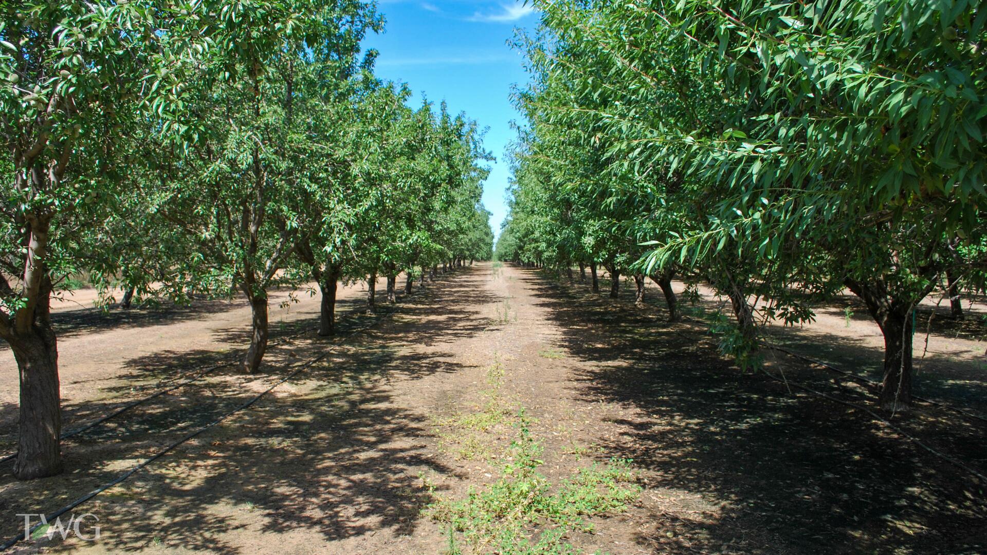 0 Rd 26, Chowchilla, CA 93610