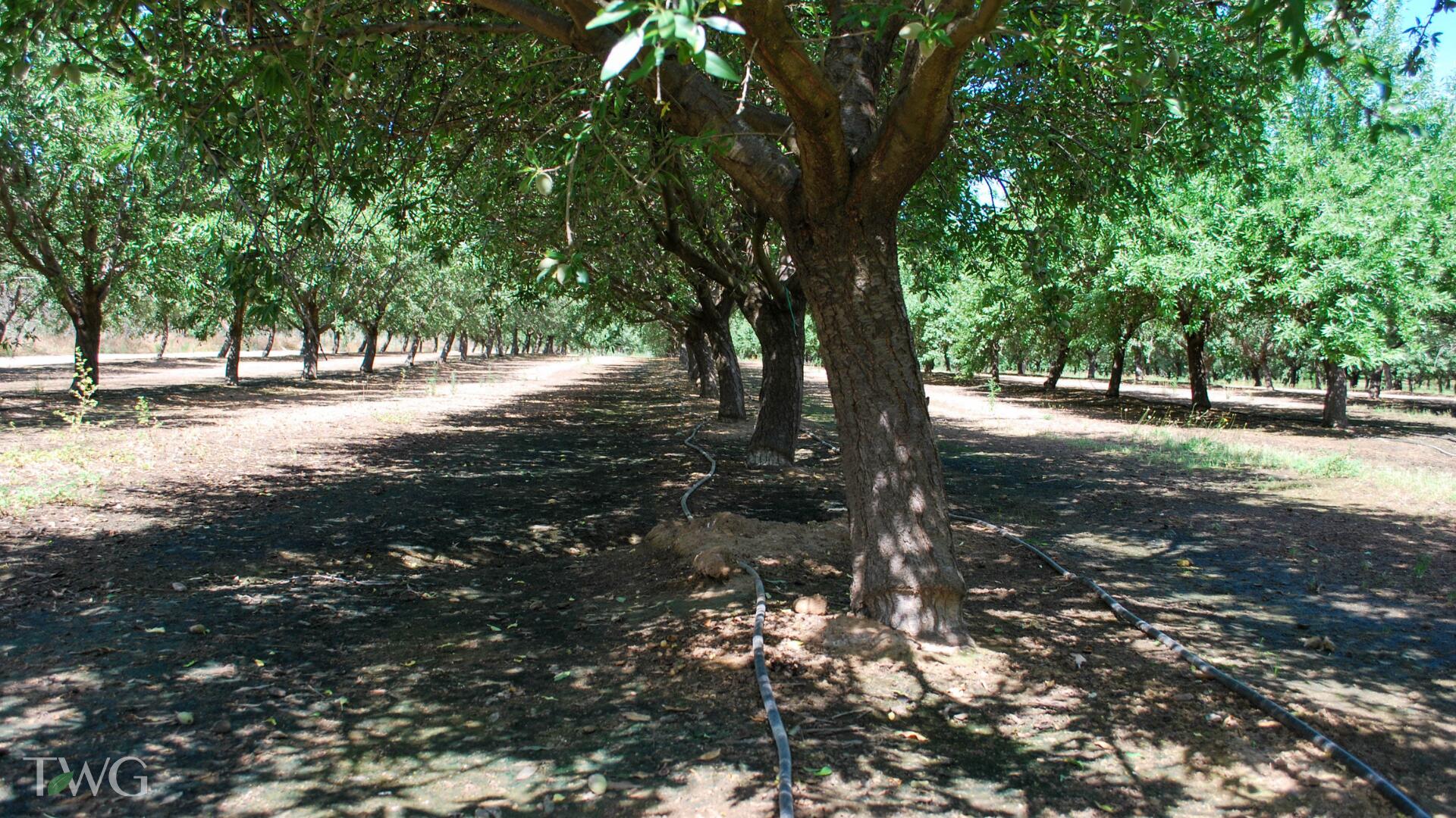 0 Rd 26, Chowchilla, CA 93610