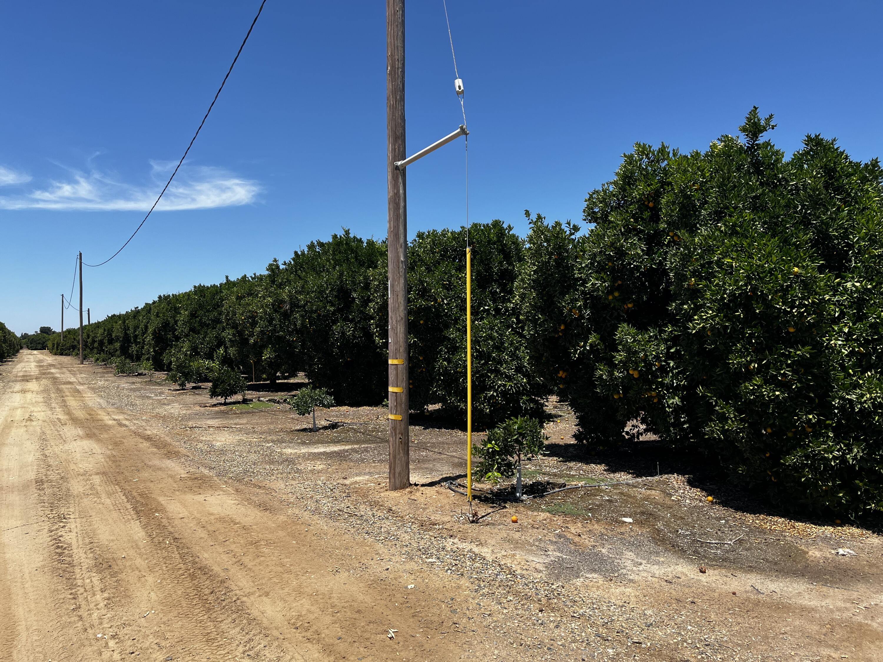 0 Road 164, Ivanhoe, CA 93235