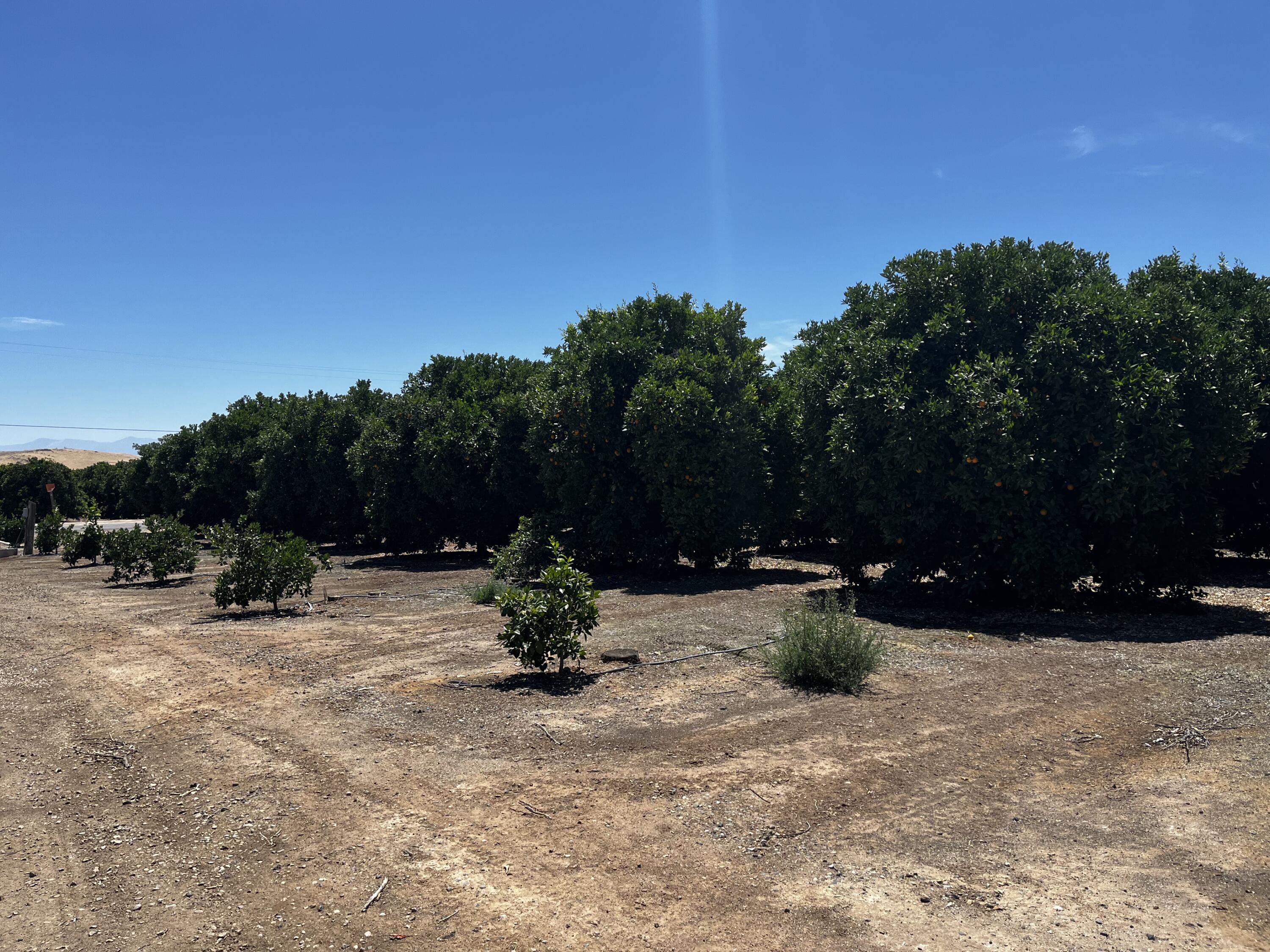 0 Road 164, Ivanhoe, CA 93235