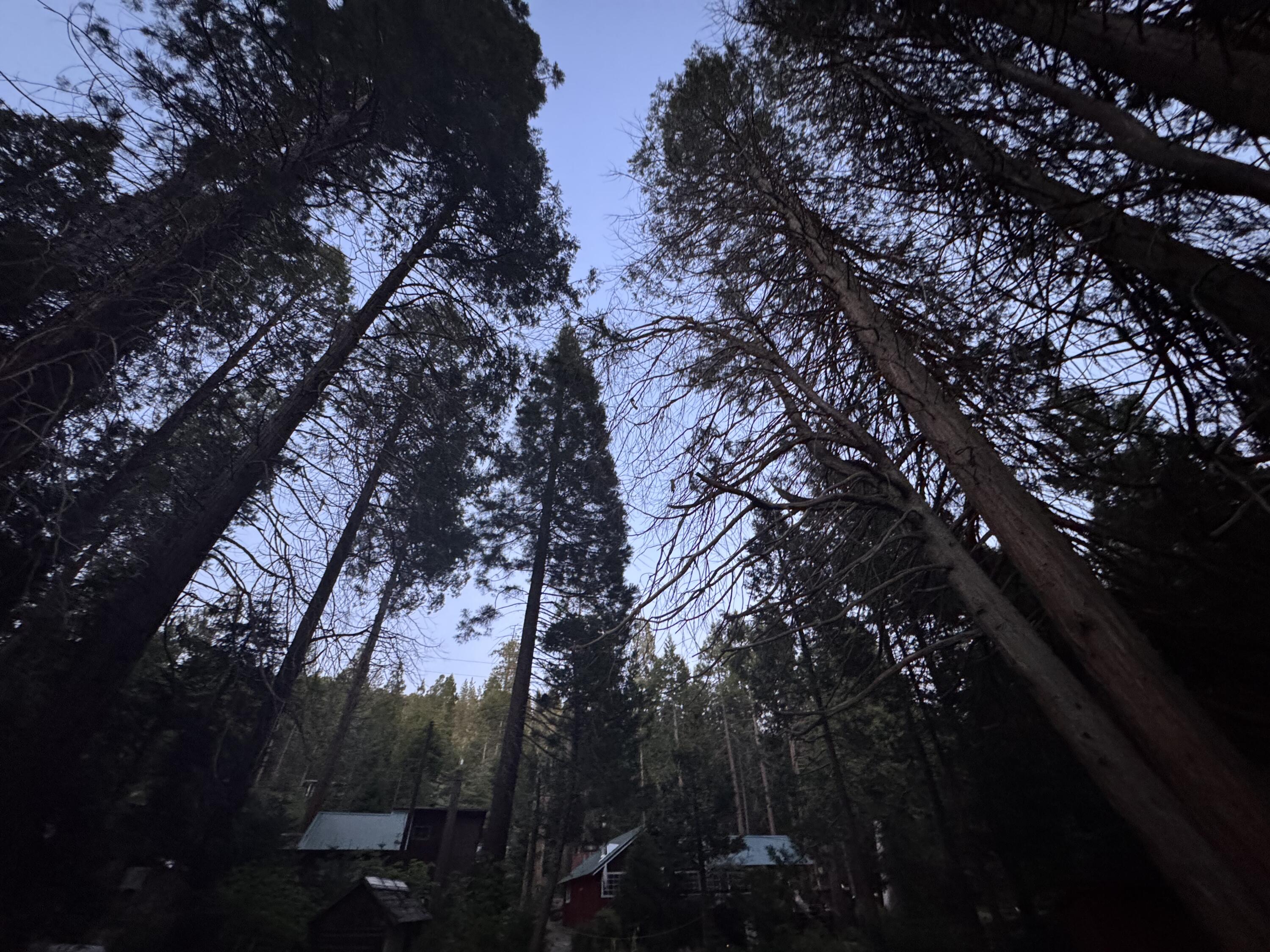 57989 Red Bud Ln, Badger, CA 93603